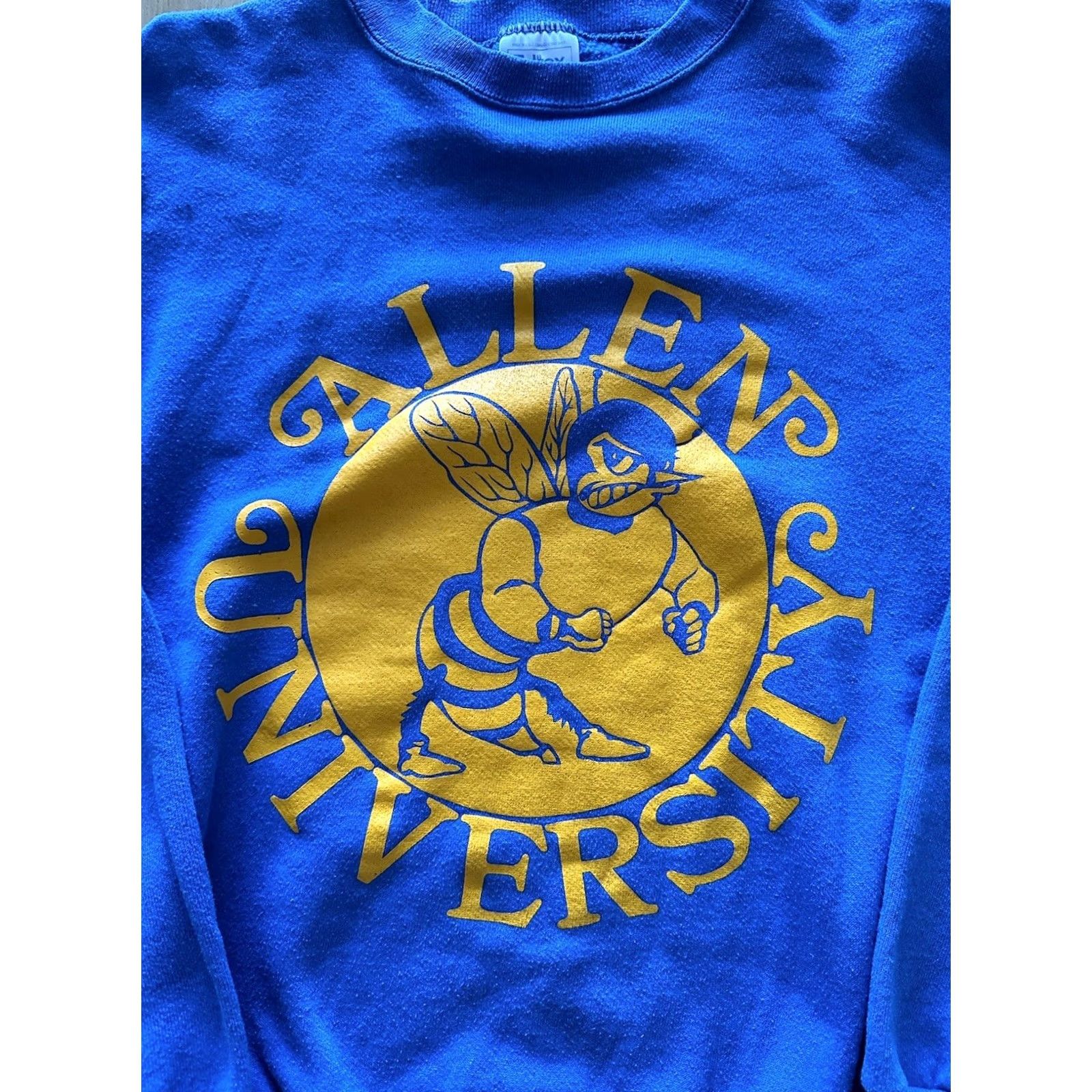 Tultex VINTAGE Tultex Allen University HBCU Crewneck Blue L Sweatshirt Mens Size US L / EU 52-54 / 3 - 2 Thumbnail