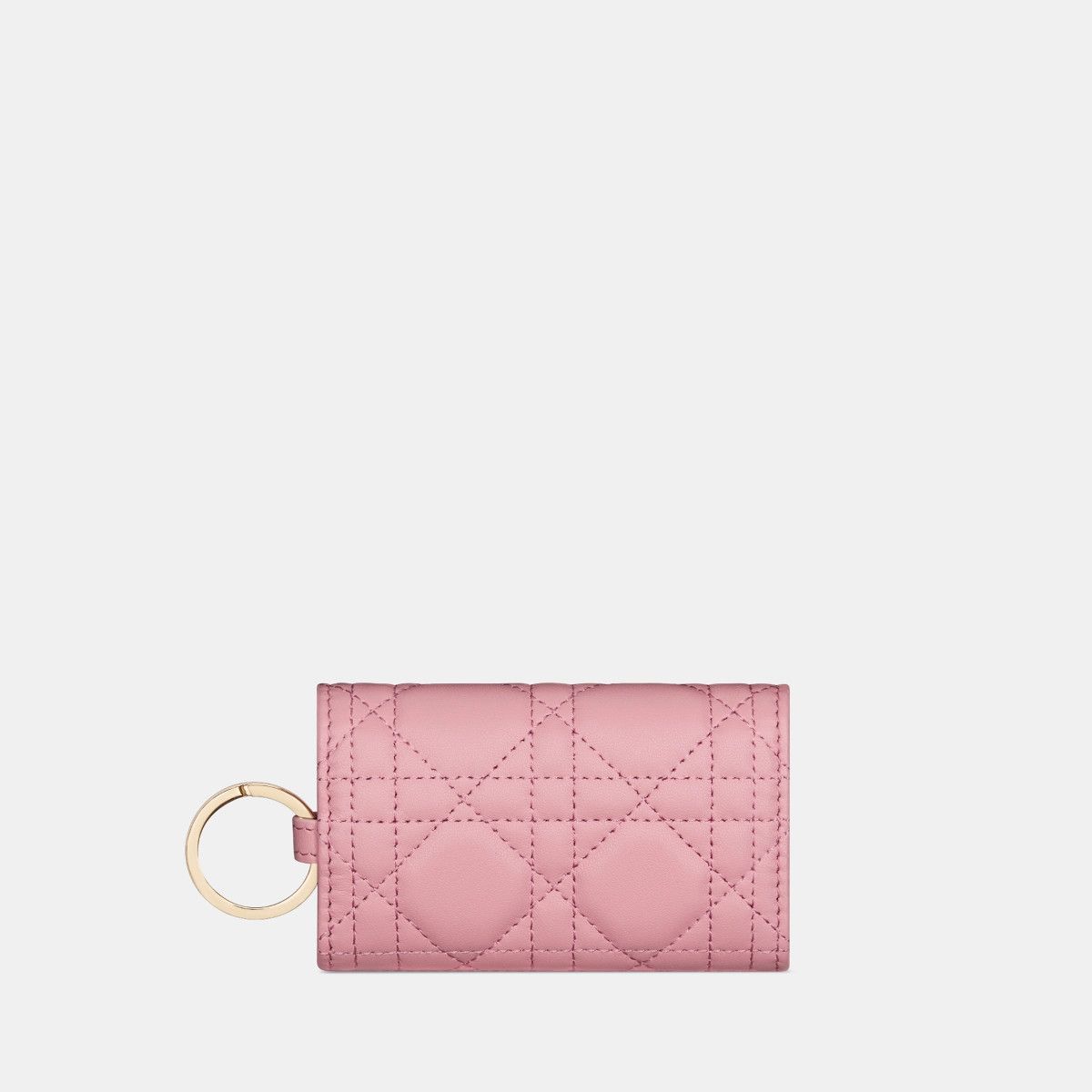 Dior o1bcso1str0226 Size:OS/ Aster Key Case in Pink Size ONE SIZE - 4 Thumbnail