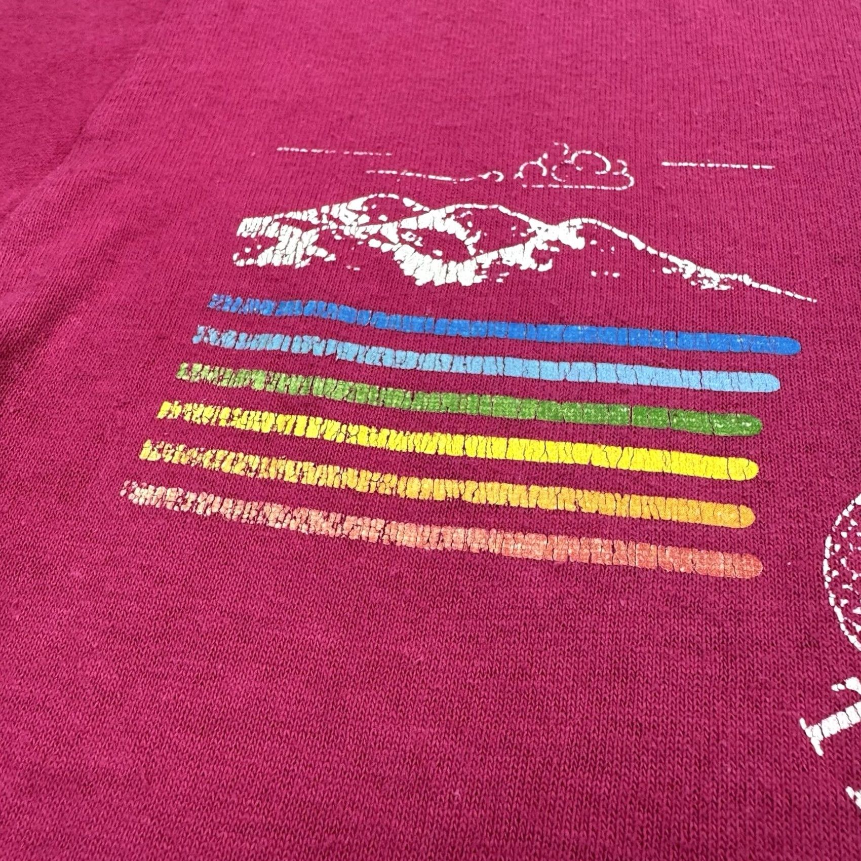Velva Sheen VINTAGE Velva Sheen Rainbow T Shirt Adult Large 1980s Awanita Valley Jeep Ride Pink Mens Size US L / EU 52-54 / 3 - 6 Thumbnail