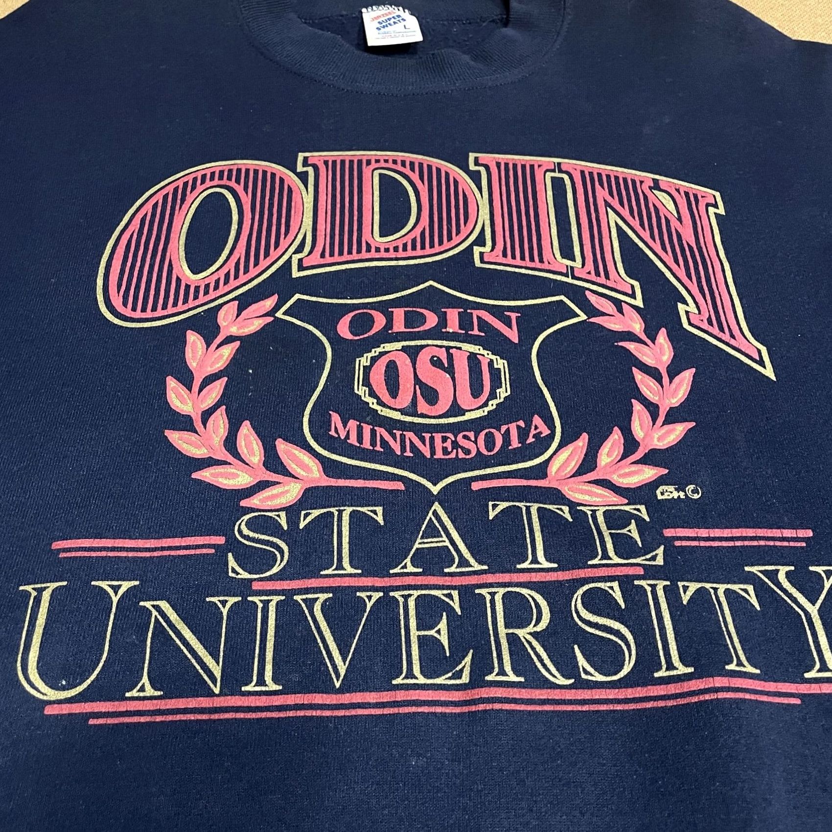 Jerzees VINTAGE Odin State University Sweatshirt Mens Large Blue Jerzees 90s Collegiate Graphic Print Pullover Size US L / EU 52-54 / 3 - 6 Thumbnail