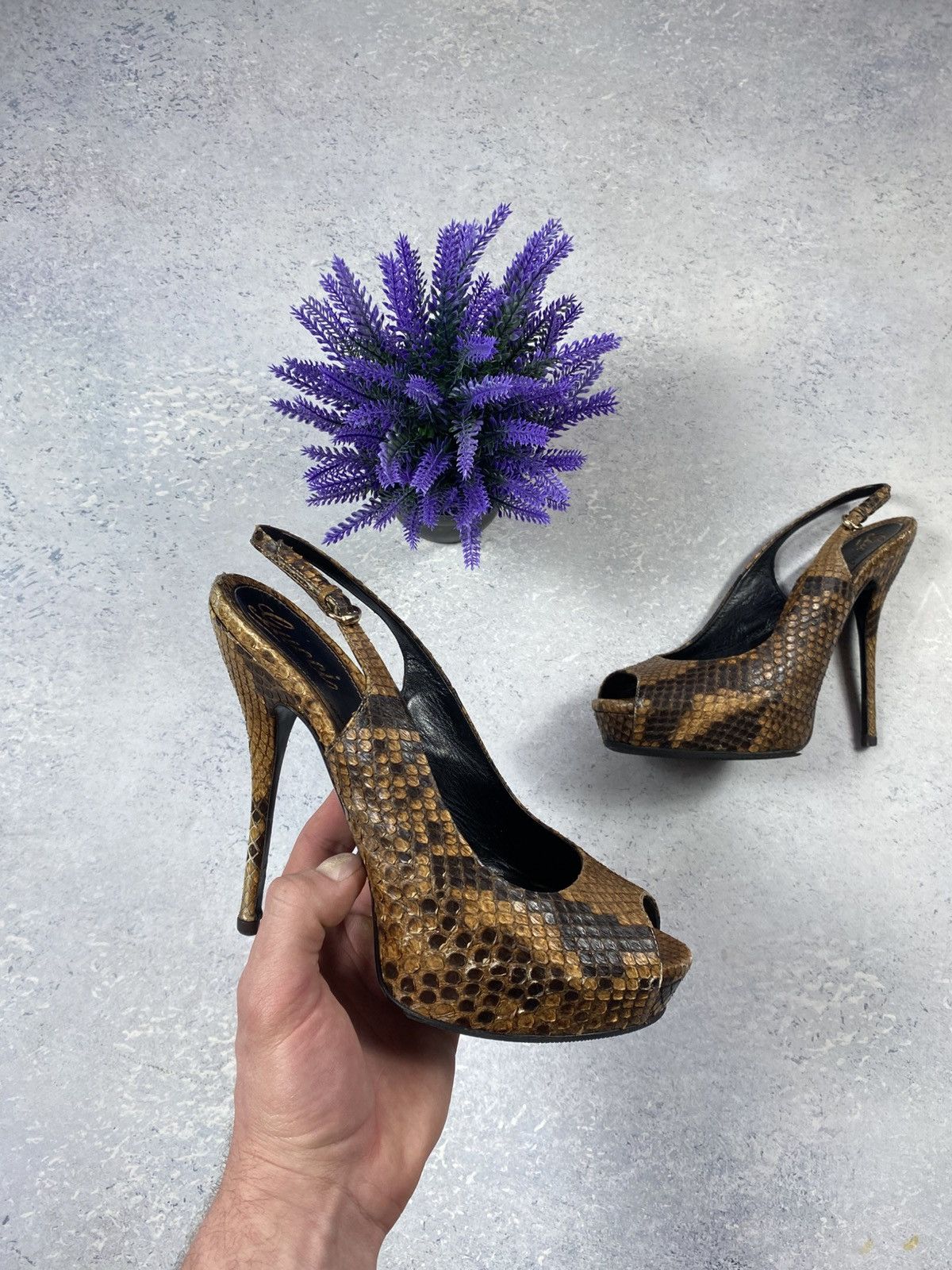 Luxury Women’s Gucci Heels Snake Leather Size EUR 39