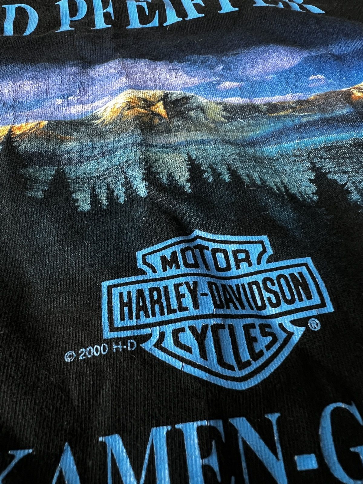 Harley Davidson × Vintage Vinatge Harley Davidsin Tee Size US L / EU 52-54 / 3 - 6 Thumbnail