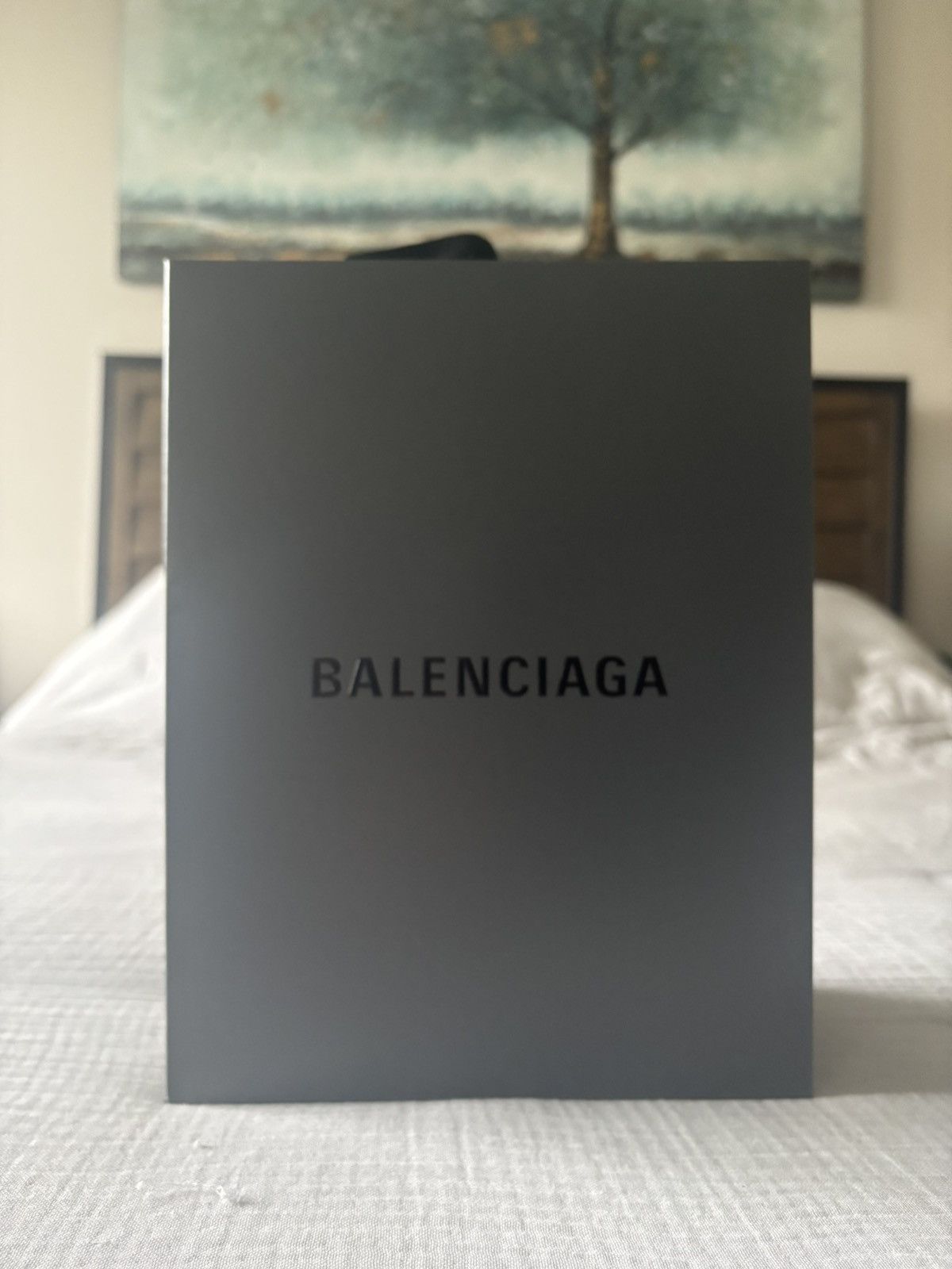 Balenciaga BALENCIAGA MIDNIGHT MASK SUNGLASSES - EXTREMELY RARE! Size ONE SIZE - 11 Thumbnail