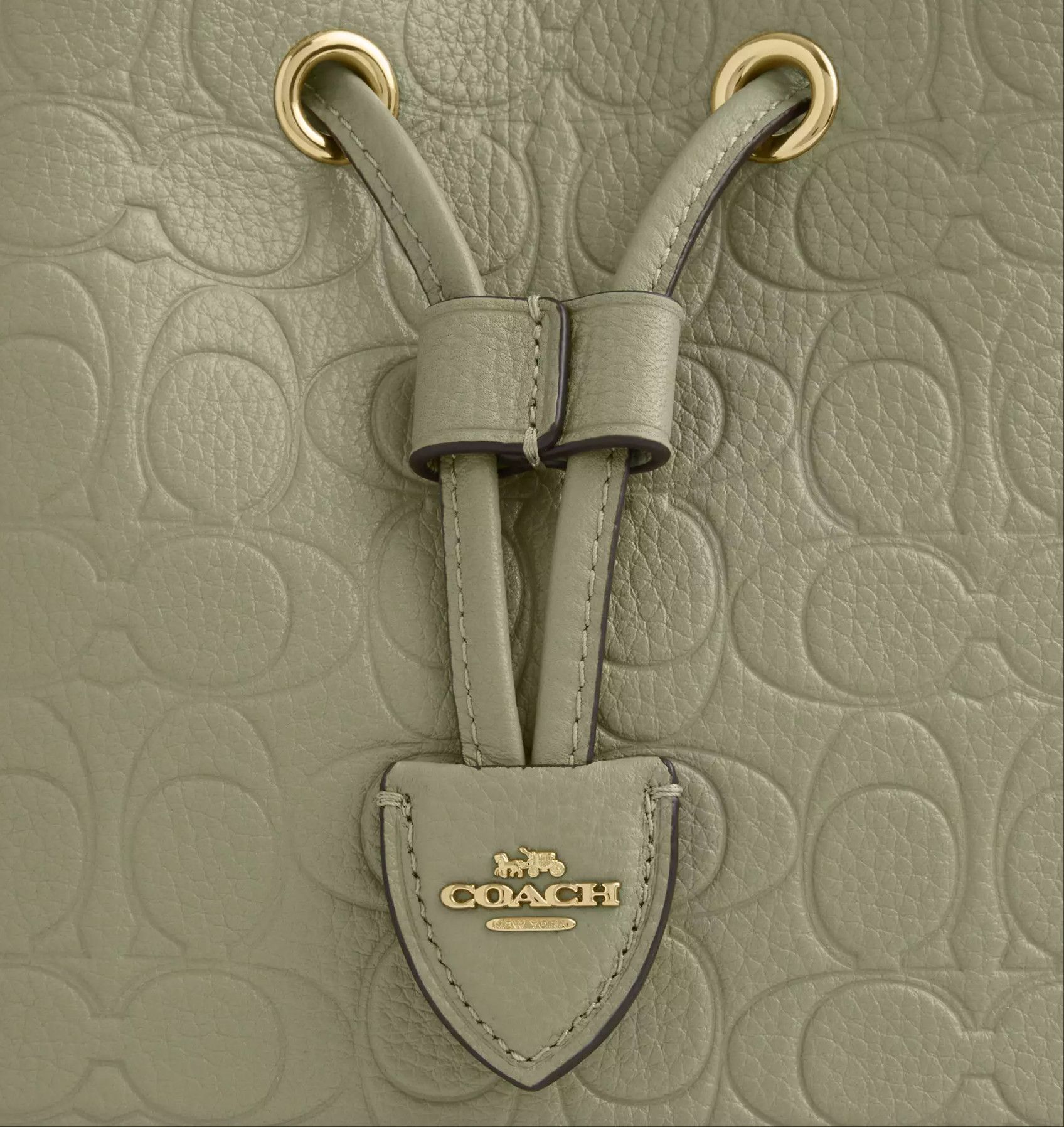 Coach Rowan Bucket Bag In Signature Leather CEA96 Gold/Pistachio Size ONE SIZE - 13 Thumbnail