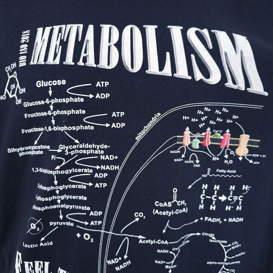 Next Level Metabolism T Shirt Mens Size Large Blue Biology 180 Feel Size US L / EU 52-54 / 3 - 2 Thumbnail