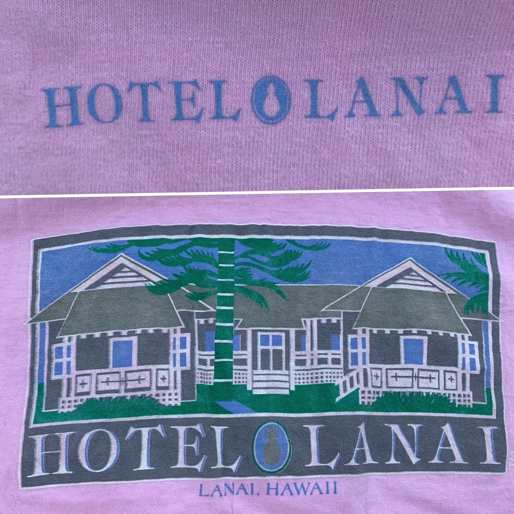 Vintage VINTAGE Hanes Beefy-T T-Shirt Shirt Mens Adult L 42-44 Cotton Pink Hotel Lanai Hawaii 80s 90s Retro Short Sleeve Crew Neck Size US L / EU 52-54 / 3 - 4 Thumbnail