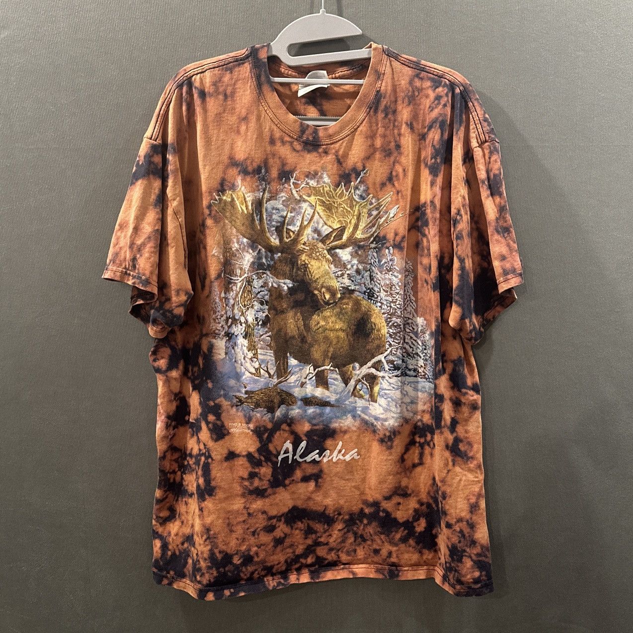 Hanes Alaska Wilderness graphic tee Size US L / EU 52-54 / 3 - 1 Thumbnail