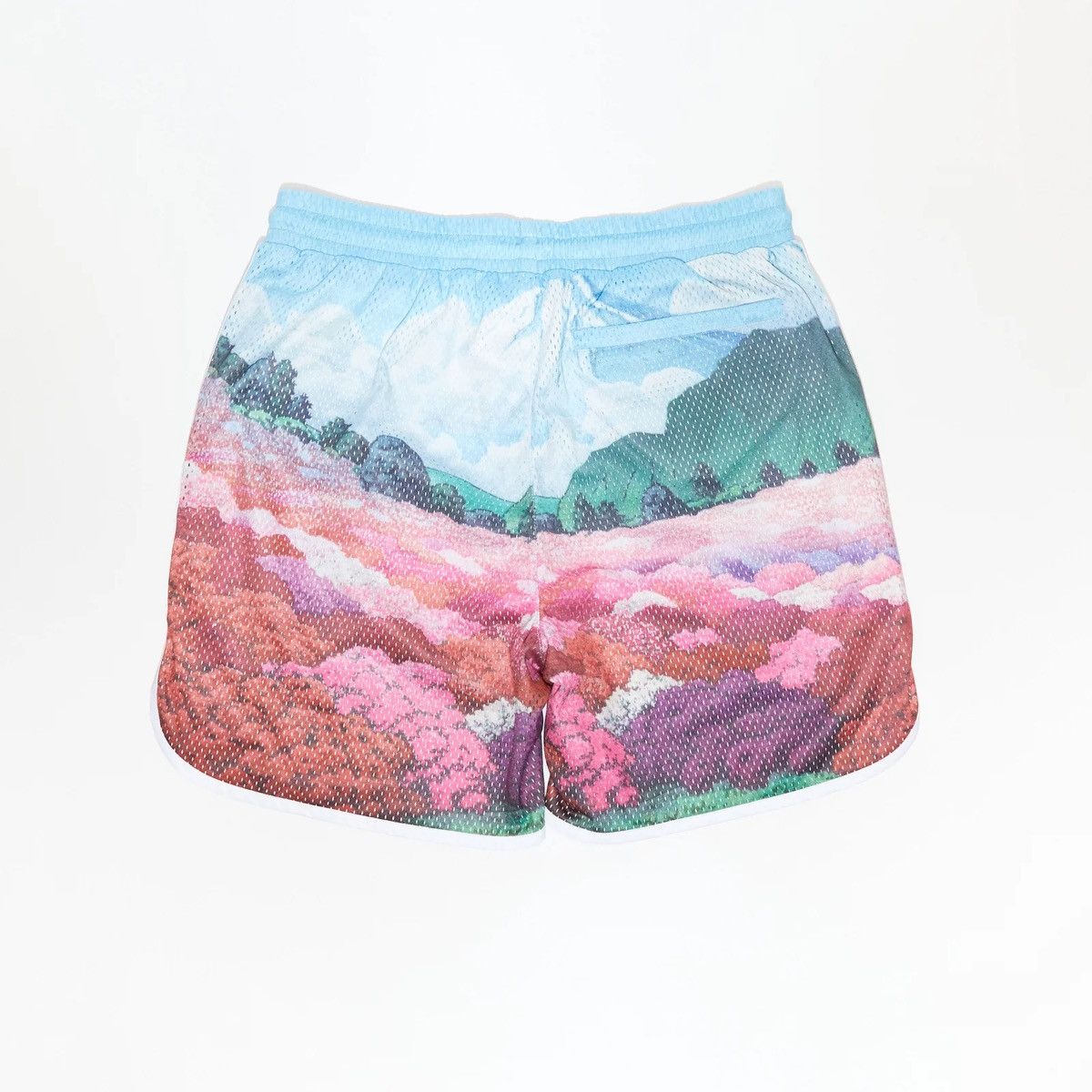 Kith KITH PRINTED JORDAN MESH SHORT - BLOOM Size US 32 / EU 48 - 2 Thumbnail