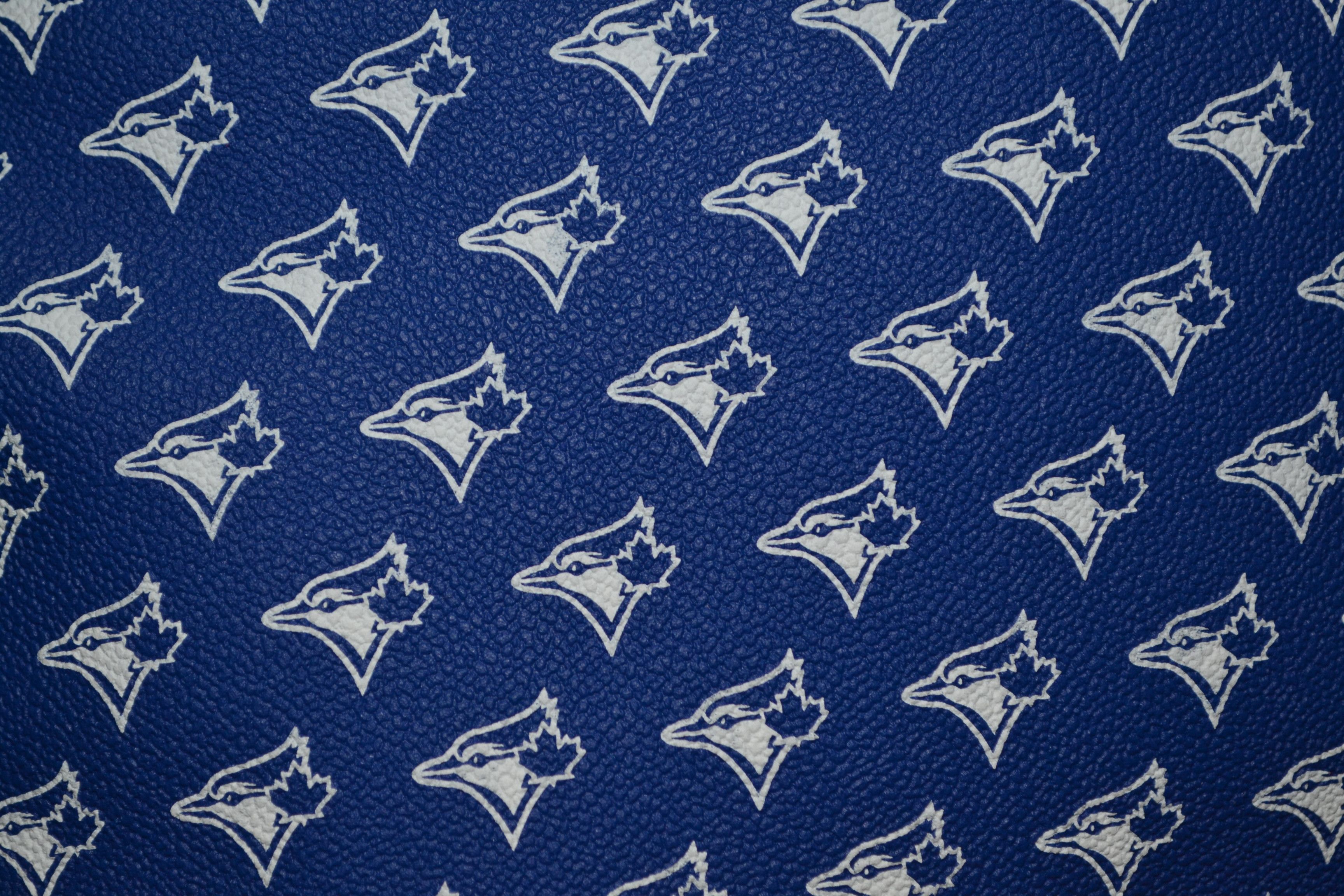 Dooney & Bourke Dooney & Bourke Blue Jays Hobo Bag New Size ONE SIZE - 8 Thumbnail