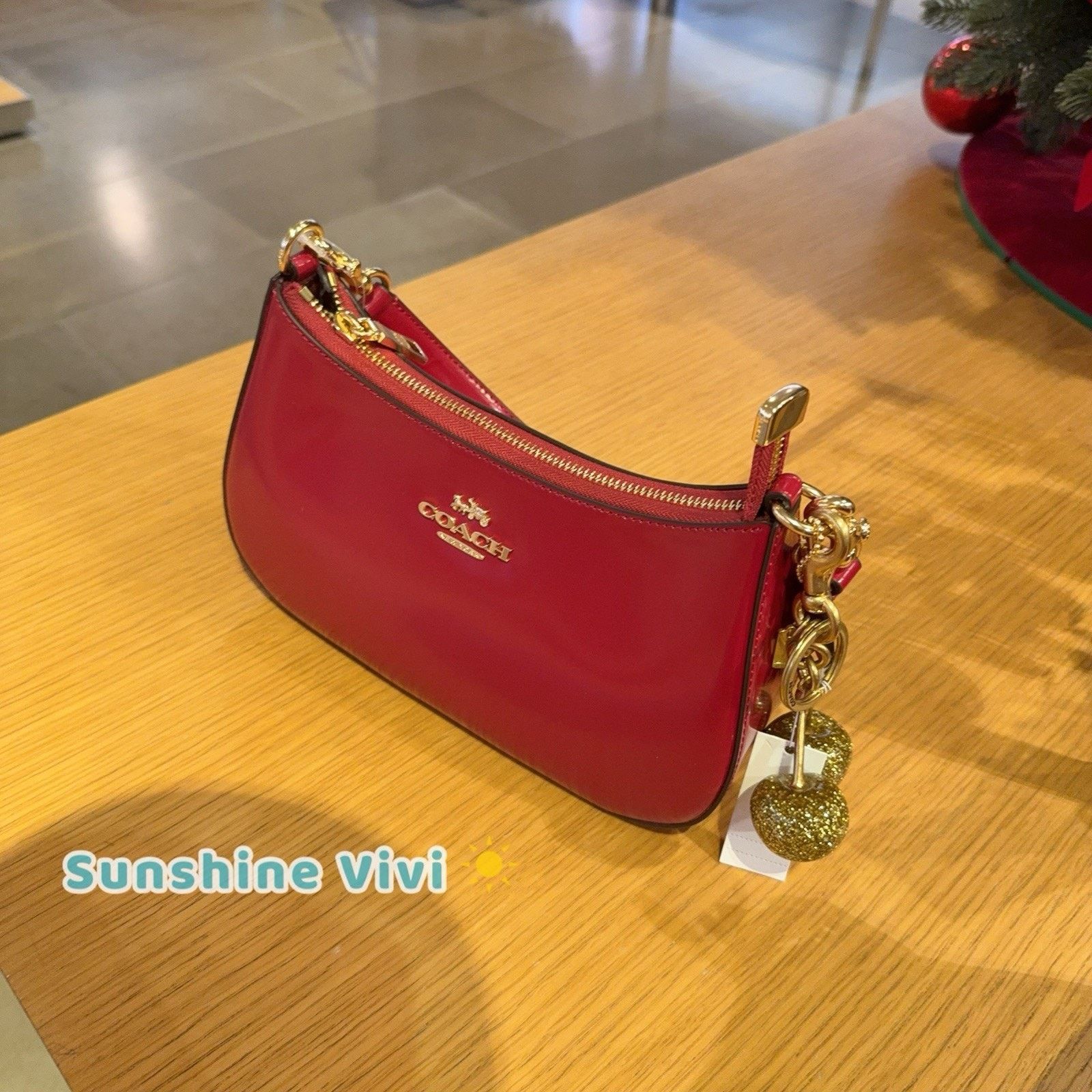 Coach NWT Bundle Coach CV938 Teri Red & Cherry Bag Charm 77840 Size ONE SIZE - 8 Thumbnail