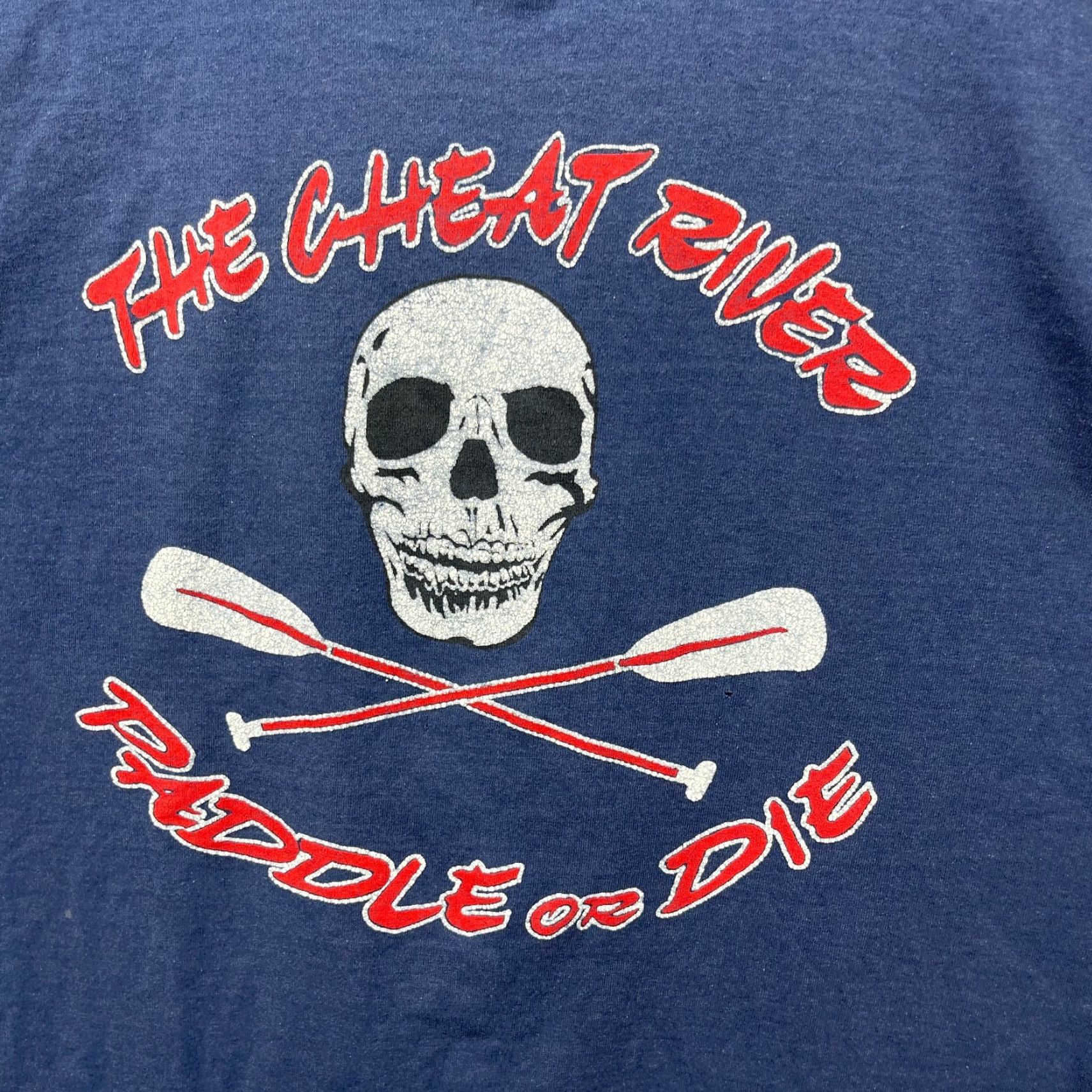 Fruit Of The Loom VINTAGE Skull Biker Sun Faded T-Shirt Large Sleeveless Men L Blue 90s Size US L / EU 52-54 / 3 - 3 Thumbnail
