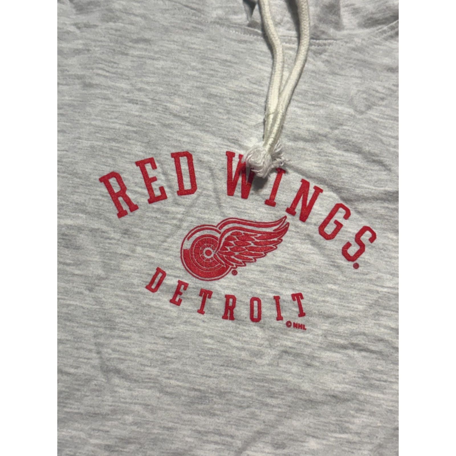 Champion Champion Hoodie Mens Size Small Gray Long Sleeve Pullover Red Wing Printed Size US S / EU 44-46 / 1 - 5 Thumbnail