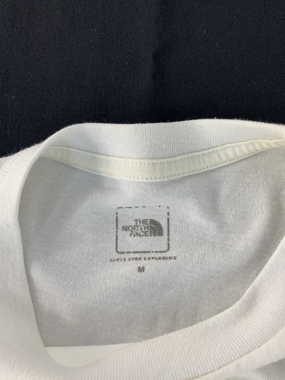 The North Face The North Face Biner Graphic Big Logo Printed Crewneck Tee Size US M / EU 48-50 / 2 - 5 Thumbnail