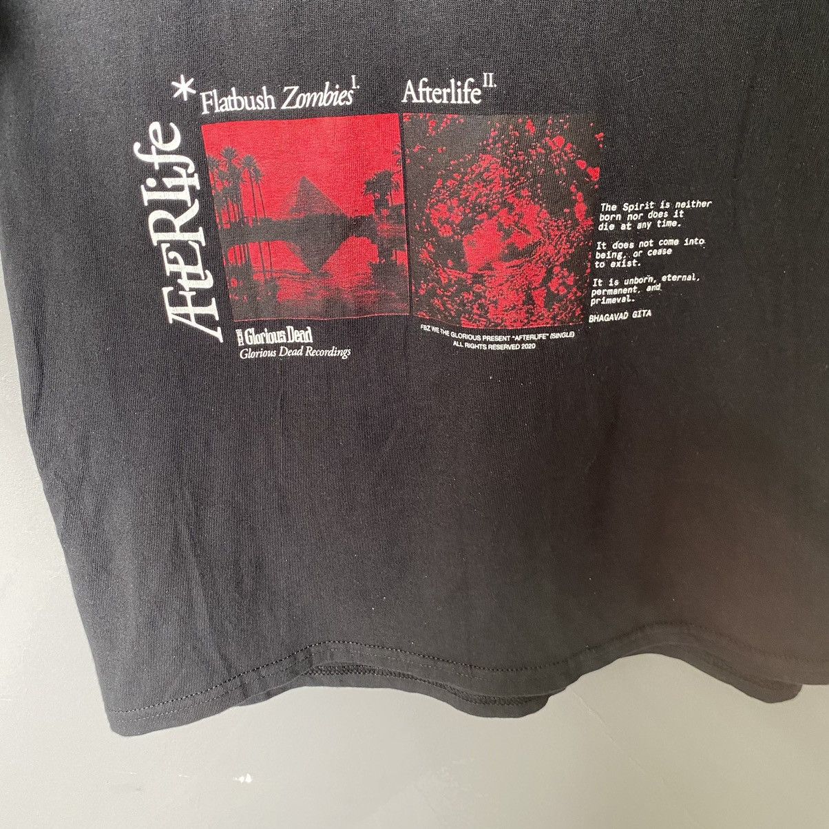 Flatbush Zombies Thrashed Flatbush Zombies Afterlife ERD GRUNGE L/S TSHIRT Size US L / EU 52-54 / 3 - 5 Thumbnail
