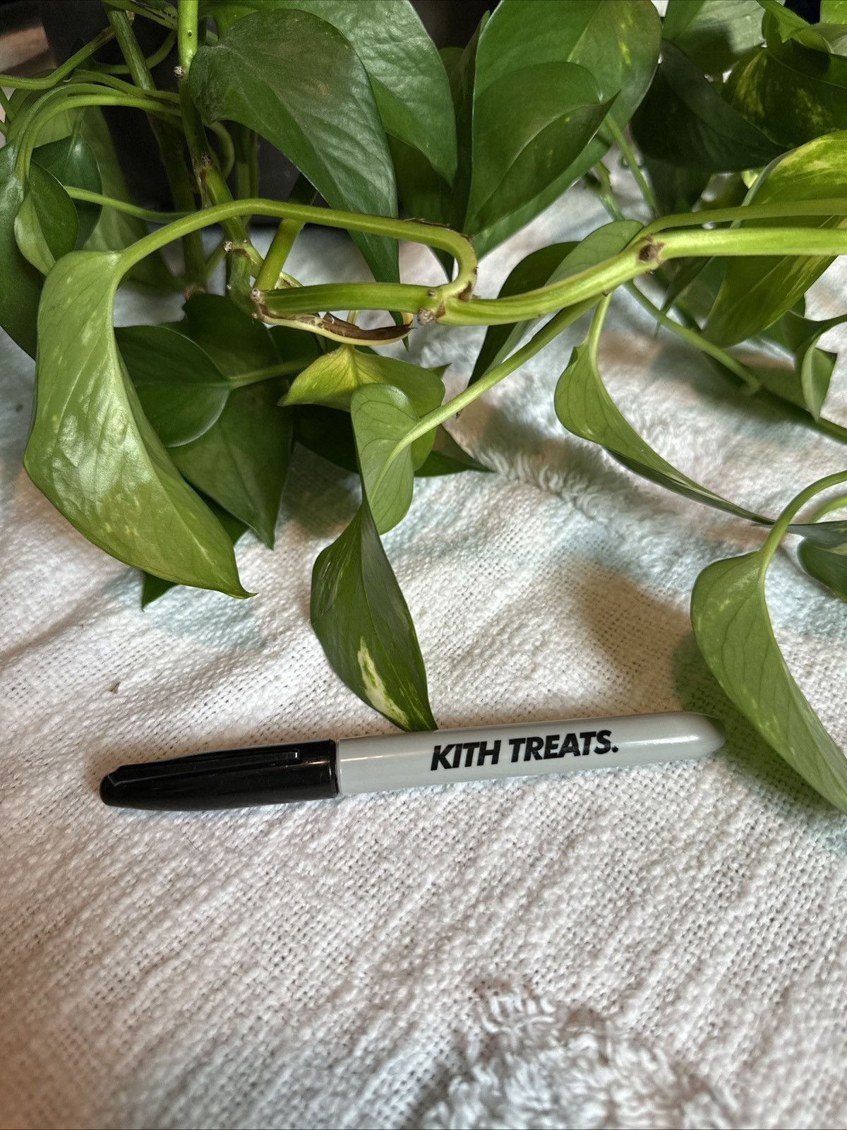 Kith Kith Treats Sharpie Size ONE SIZE - 2 Thumbnail