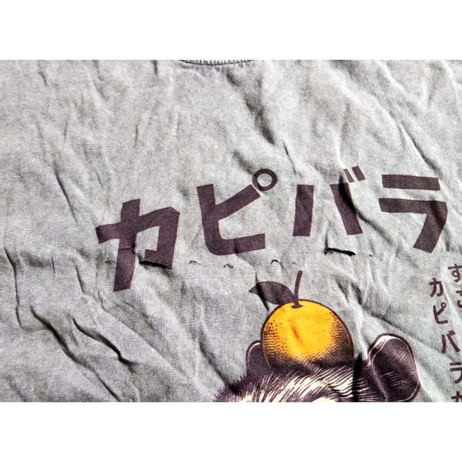 Thrasher Vintage Unbranded T-Shirt Mens L Gray 80s Retro Shaboten Zoo Capybara Japan Shirt Size US L / EU 52-54 / 3 - 5 Thumbnail