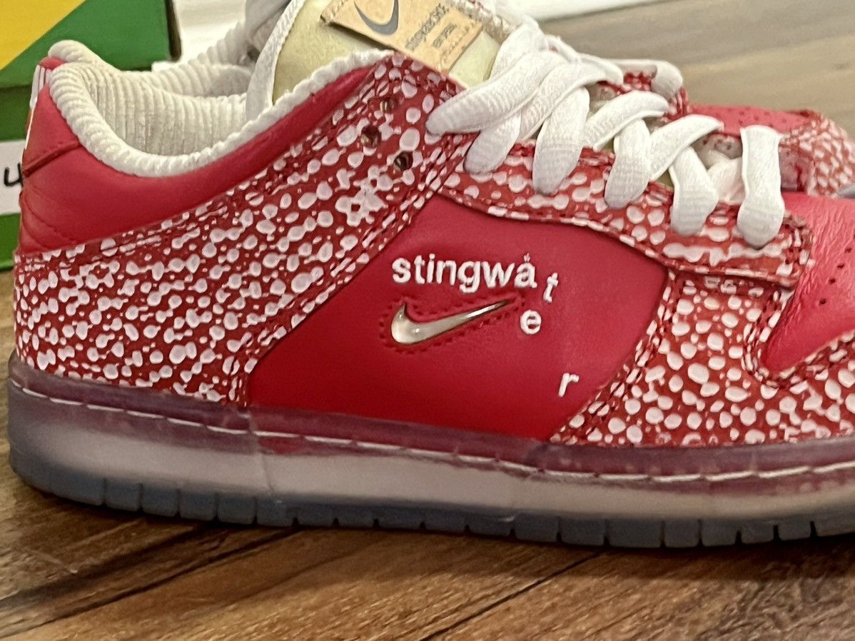 Nike Nike stingwater dunks sz 4.5 or 6 women Size US 6 / IT 36 - 15 Thumbnail