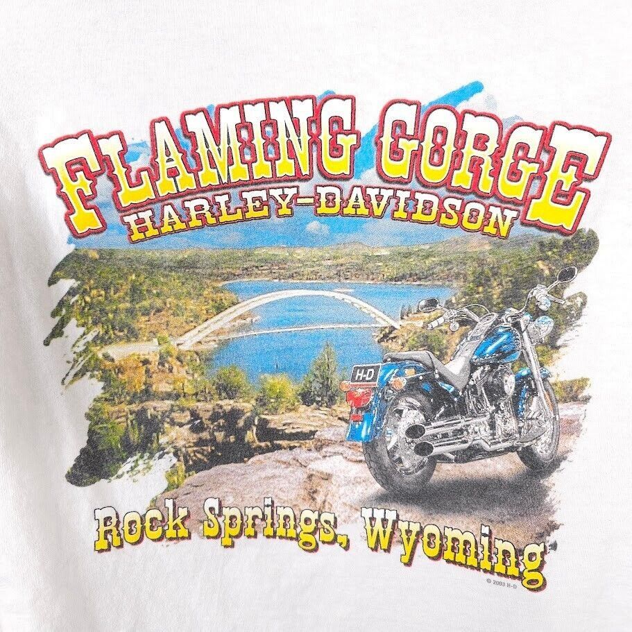 Harley Davidson Harley Davidson T Shirt Mens Size Large White Flaming Gorge Size US L / EU 52-54 / 3 - 4 Thumbnail
