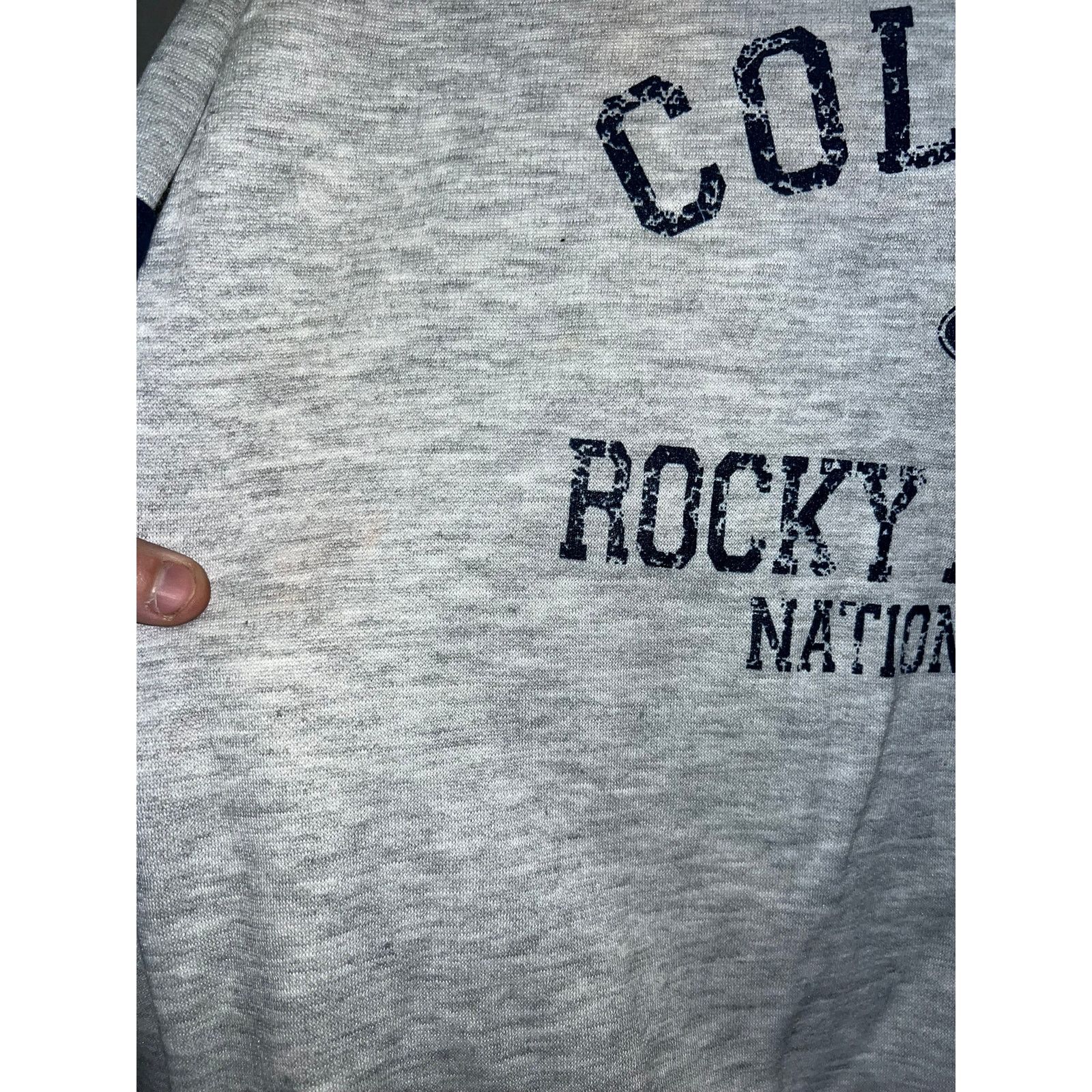 Vintage Vintage Rocky Mountain National Park Hoodie Gray VTG 90s L Size US L / EU 52-54 / 3 - 3 Thumbnail