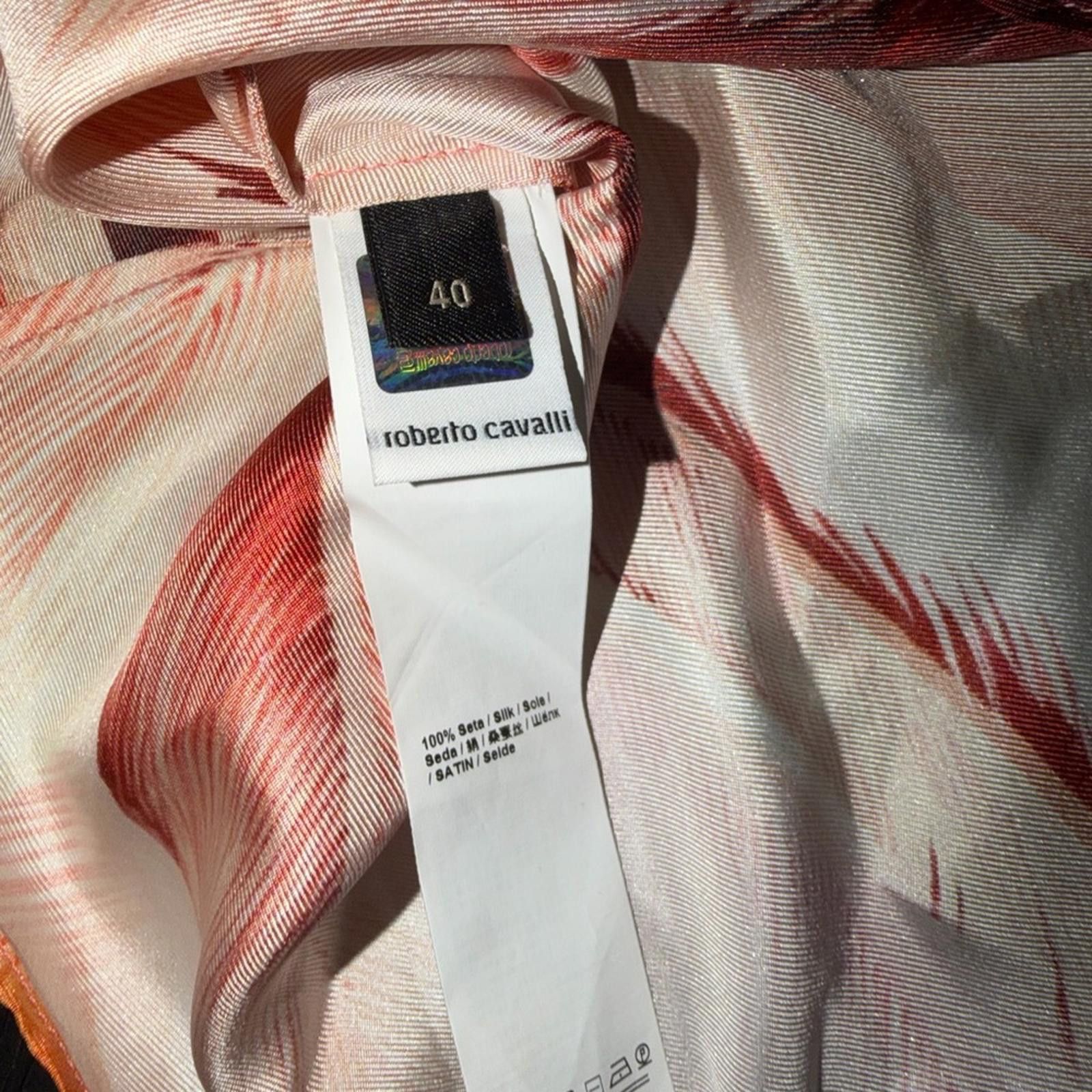 Roberto Cavalli Roberto Cavalli Plumange Print Camisole (40 or L) Size L / US 10 / IT 46 - 6 Thumbnail
