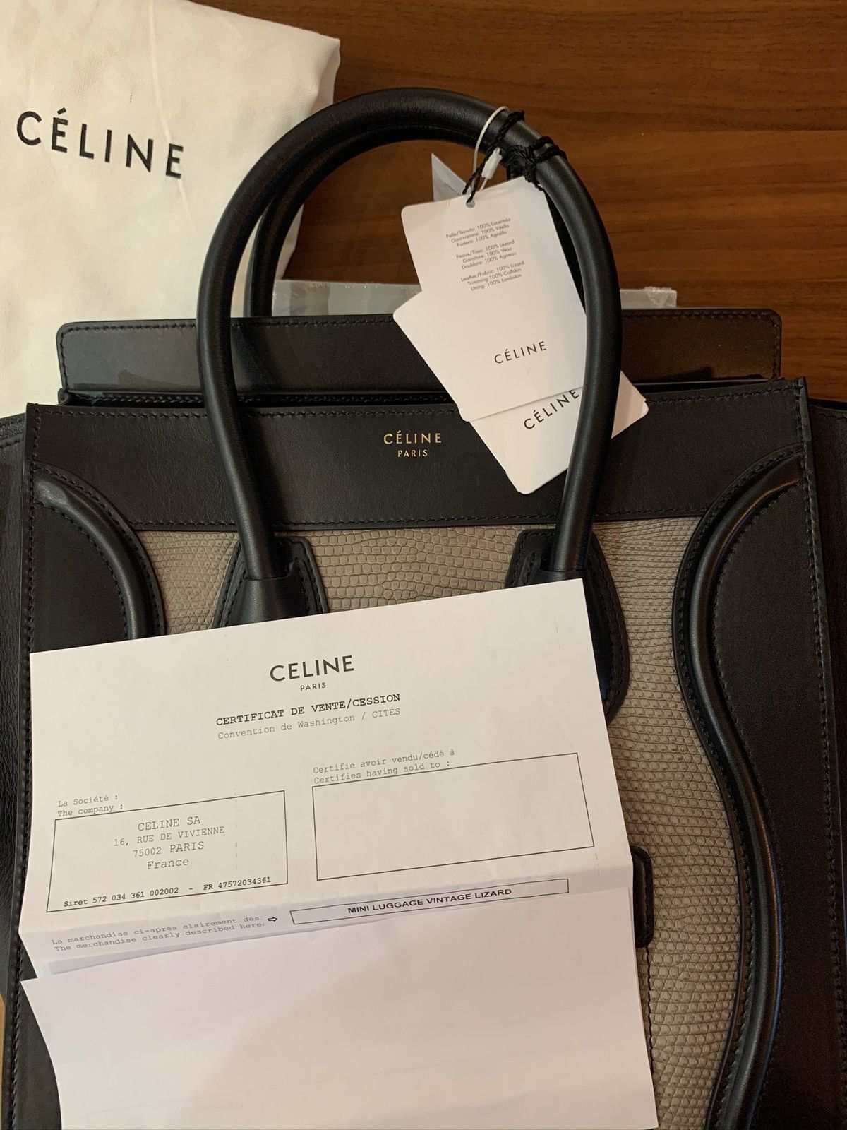 Celine Mini Luggage Leather and Lizard