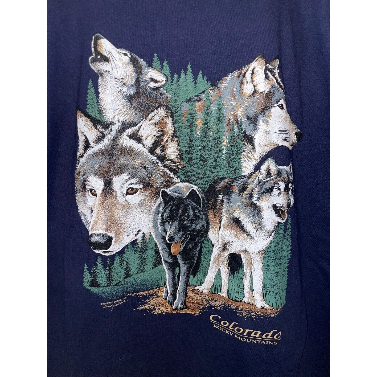 Jerzees Vintage Rocky Mountain Wolf Shirt Wolfs Blue Tee VTG 90s L Size US L / EU 52-54 / 3 - 2 Thumbnail