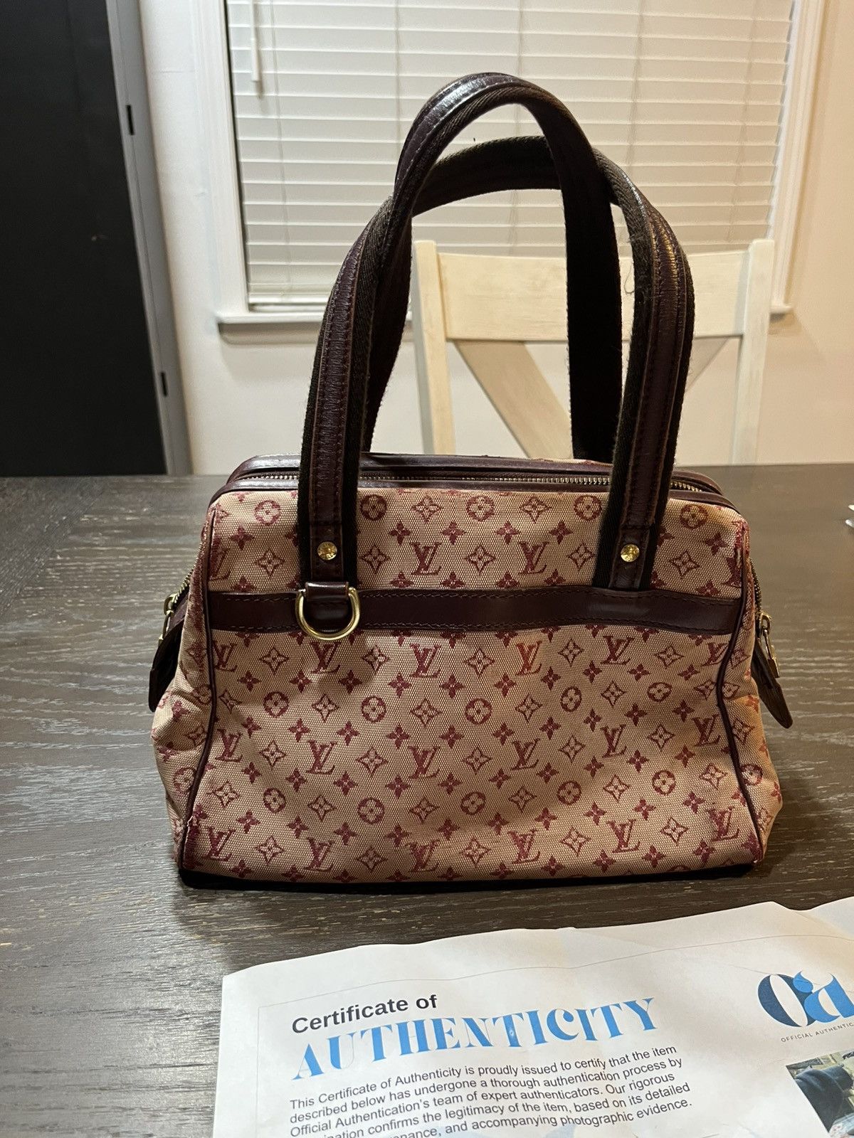 Louis Vuitton Louis Vuitton Monogram Mini Josephine PM Size ONE SIZE - 3 Thumbnail