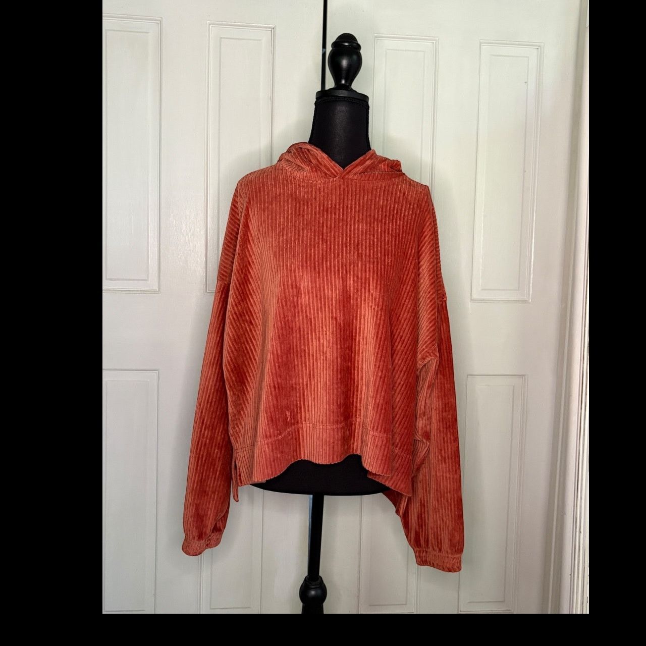 American Eagle Outfitters Rust Aerie Thick Corduroy Hoodie Size L / US 10 / IT 46 - 2 Thumbnail