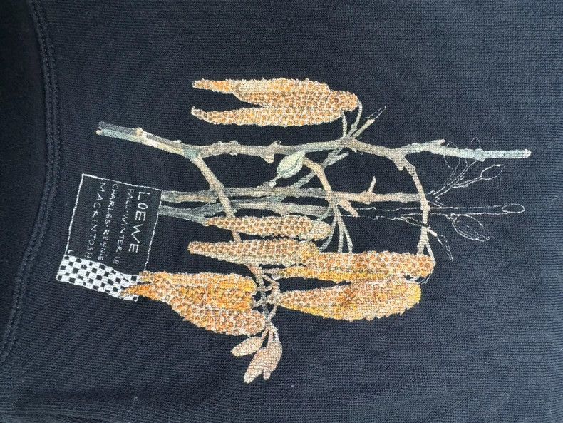 Loewe LOEWE Flower hoodie Size XS / US 0-2 / IT 36-38 - 4 Thumbnail