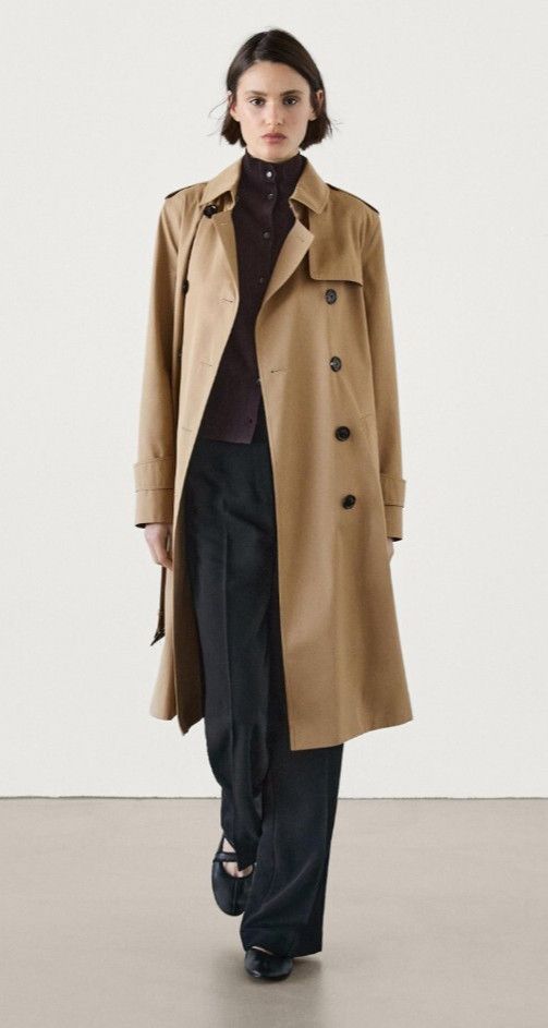Massimo Dutti Massimo Dutti Women’s Trench Coat With Belt Brown Size M Size M / US 6-8 / IT 42-44 - 21 Thumbnail