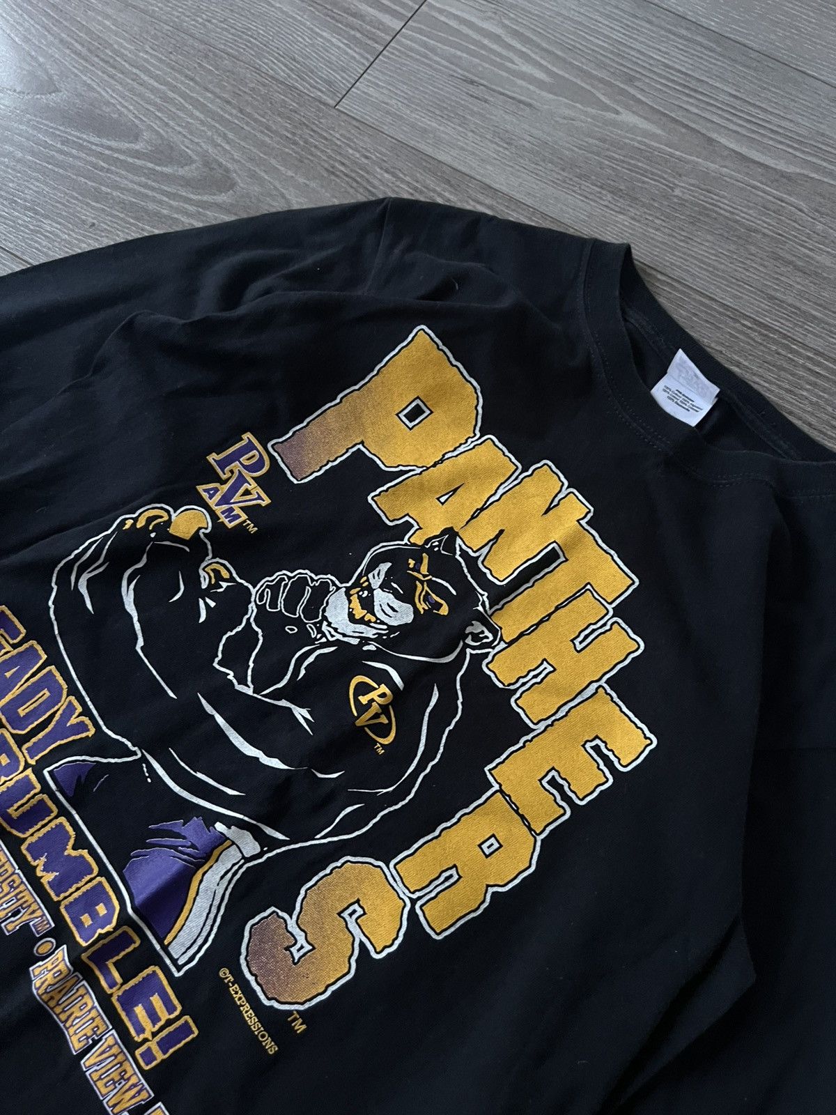 Band Tees × Vintage ‼️Panthers by Anvil Big Logo Print Long Sleeve Size US L / EU 52-54 / 3 - 13 Thumbnail