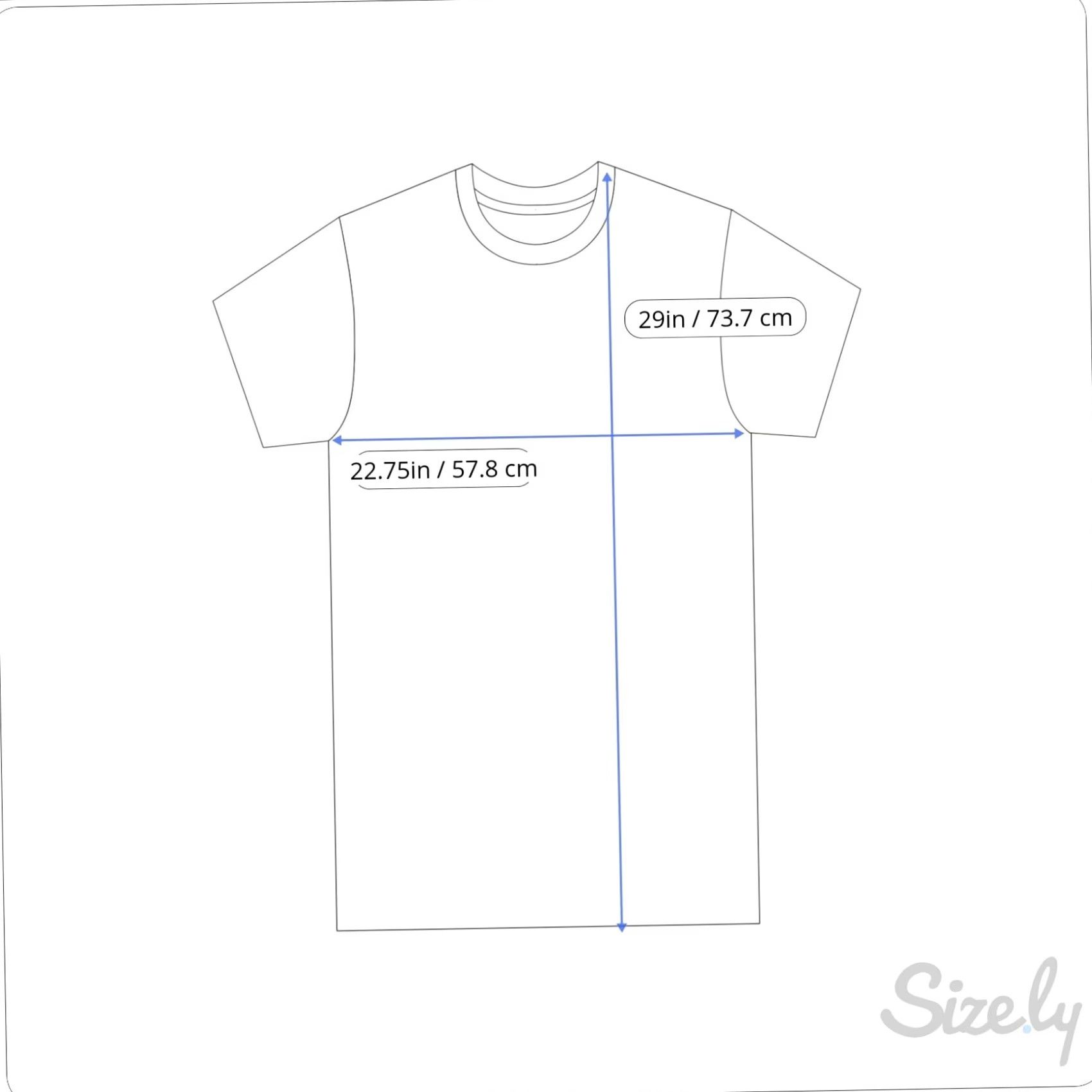 Hanes VINTAGE The Associates T Shirt Mens XL White 90s Picnic In The Park 1997 Hanes Cotton Crew Neck Short Sleeve Solid Double-Sided Mens Size US XL / EU 56 / 4 - 8 Thumbnail