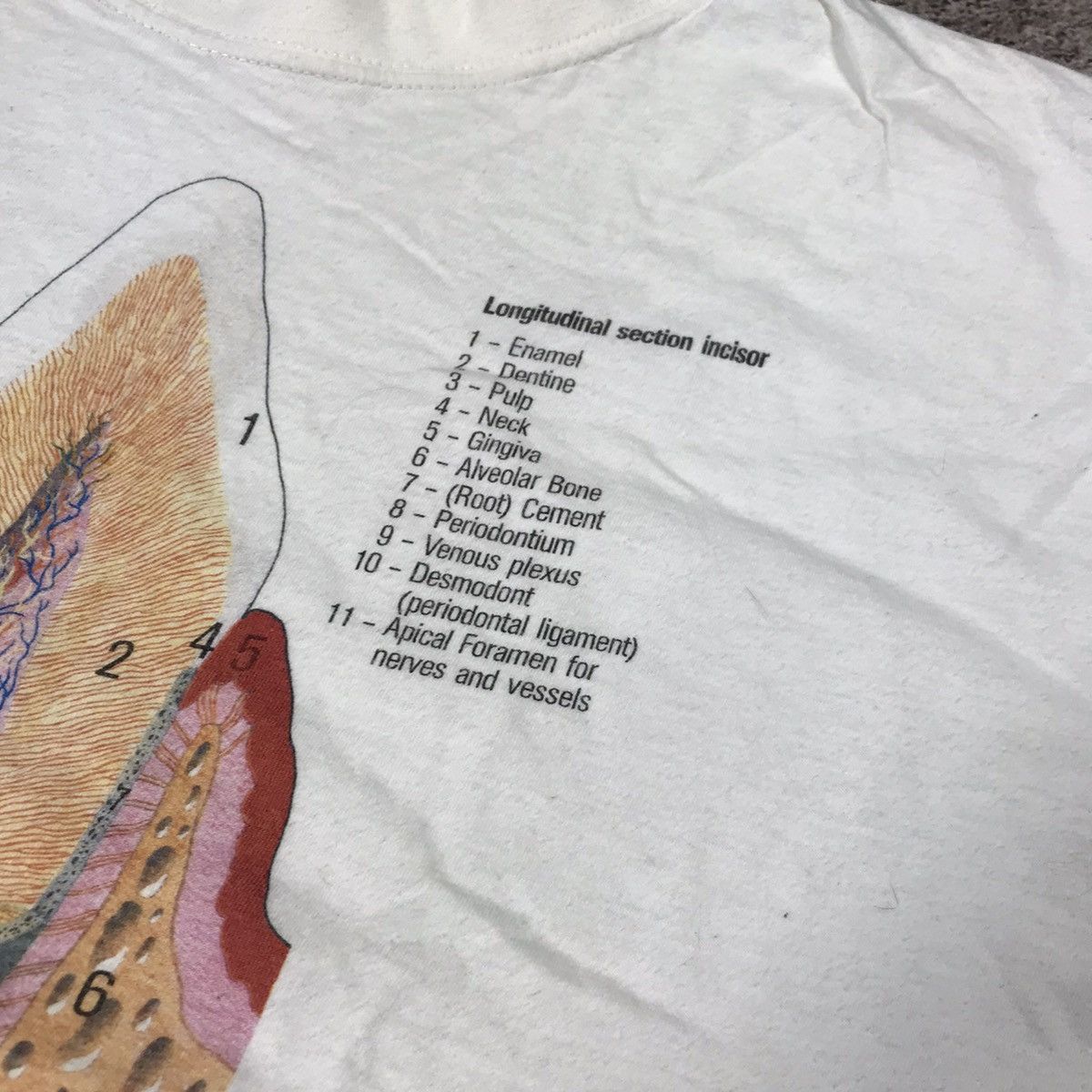 Vintage Vintage 90s Anatomy Graphic Tee Streetwear Art Y2K Cropped M Size US M / EU 48-50 / 2 - 6 Thumbnail