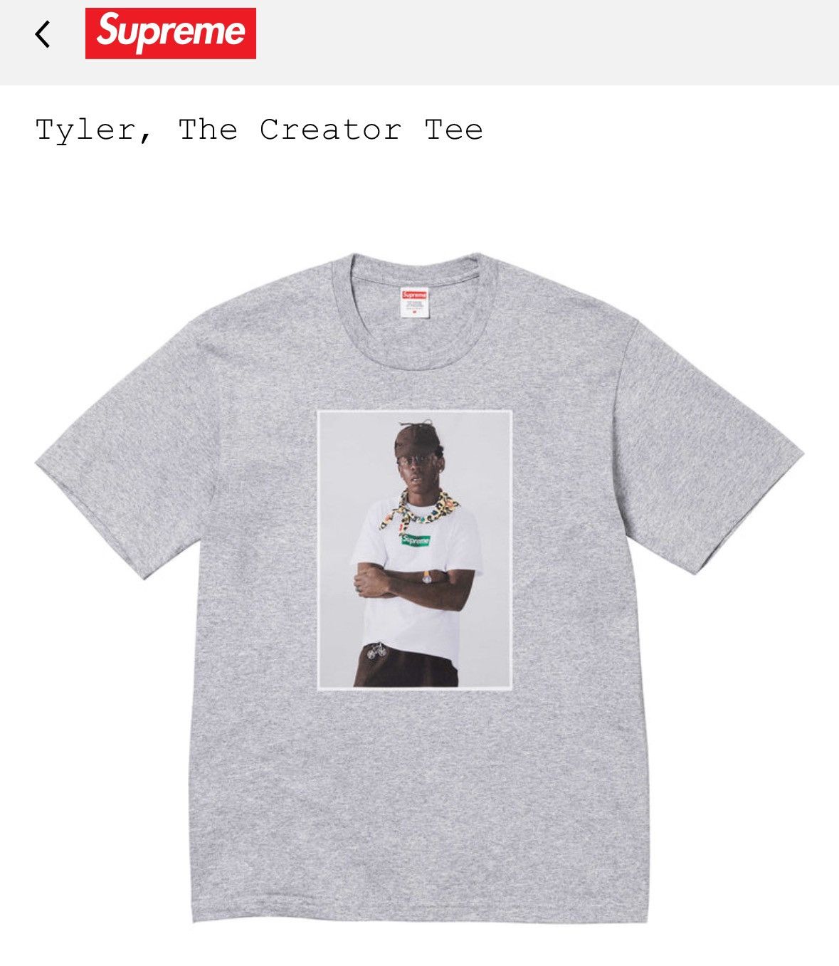 Supreme Supreme Tyler the Creator Photo Tee - Large - Grey Size US L / EU 52-54 / 3 - 6 Thumbnail