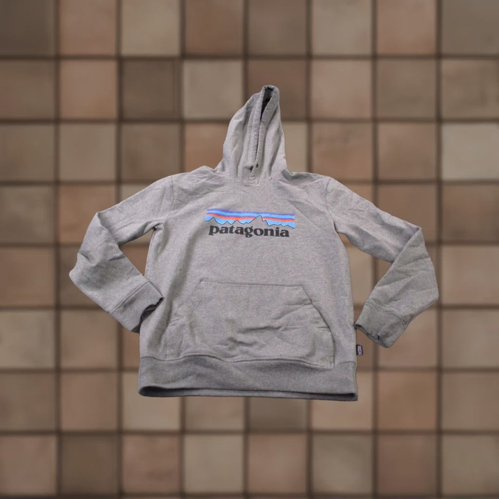 Patagonia Patagonia Hoodie Mens S Gray Logo Pullover Sweatshirt Regular Fit Hooded Knit Front Logo Size US S / EU 44-46 / 1 - 1 Thumbnail