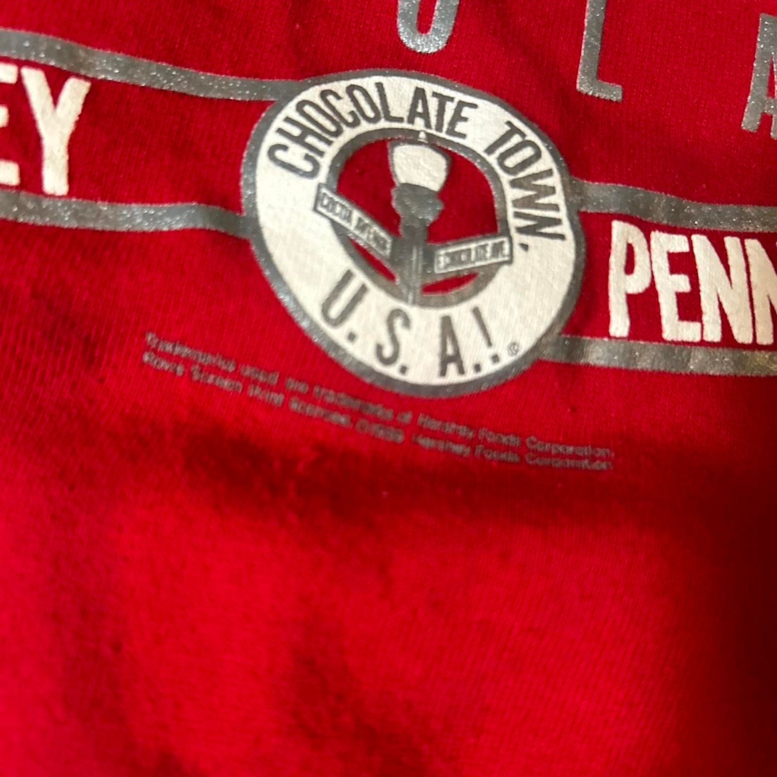 Jerzees 90s red hershey chocolate crack Size US XL / EU 56 / 4 - 4 Thumbnail