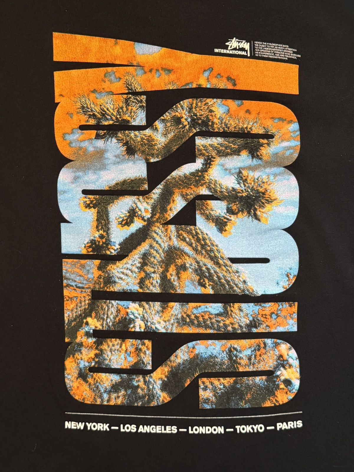 Stussy Black Stüssy Dessert Sky T-Shirt Size US M / EU 48-50 / 2 - 3 Thumbnail