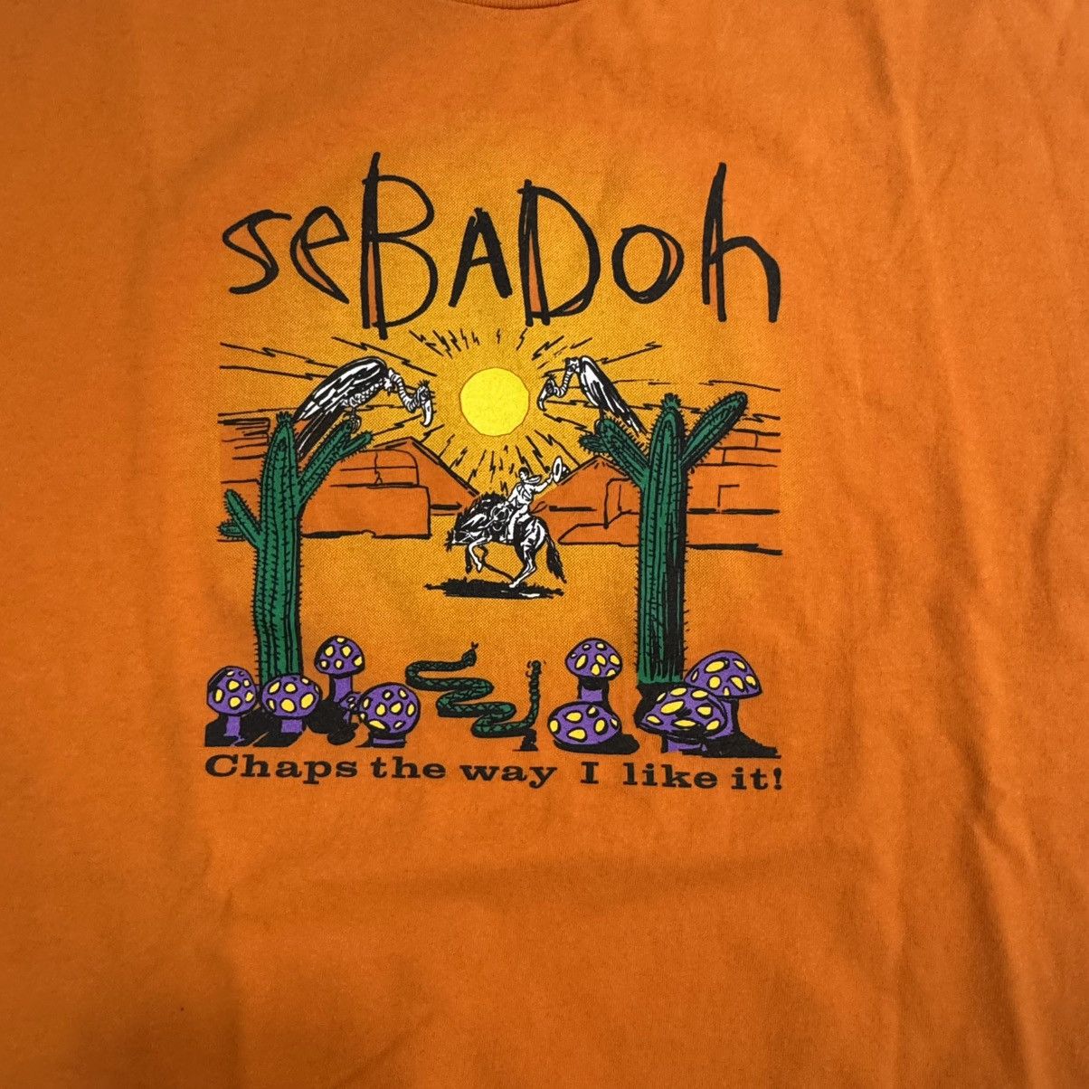 Nirvana seBaDoh Vintage shirt 90s Size US XL / EU 56 / 4 - 4 Thumbnail