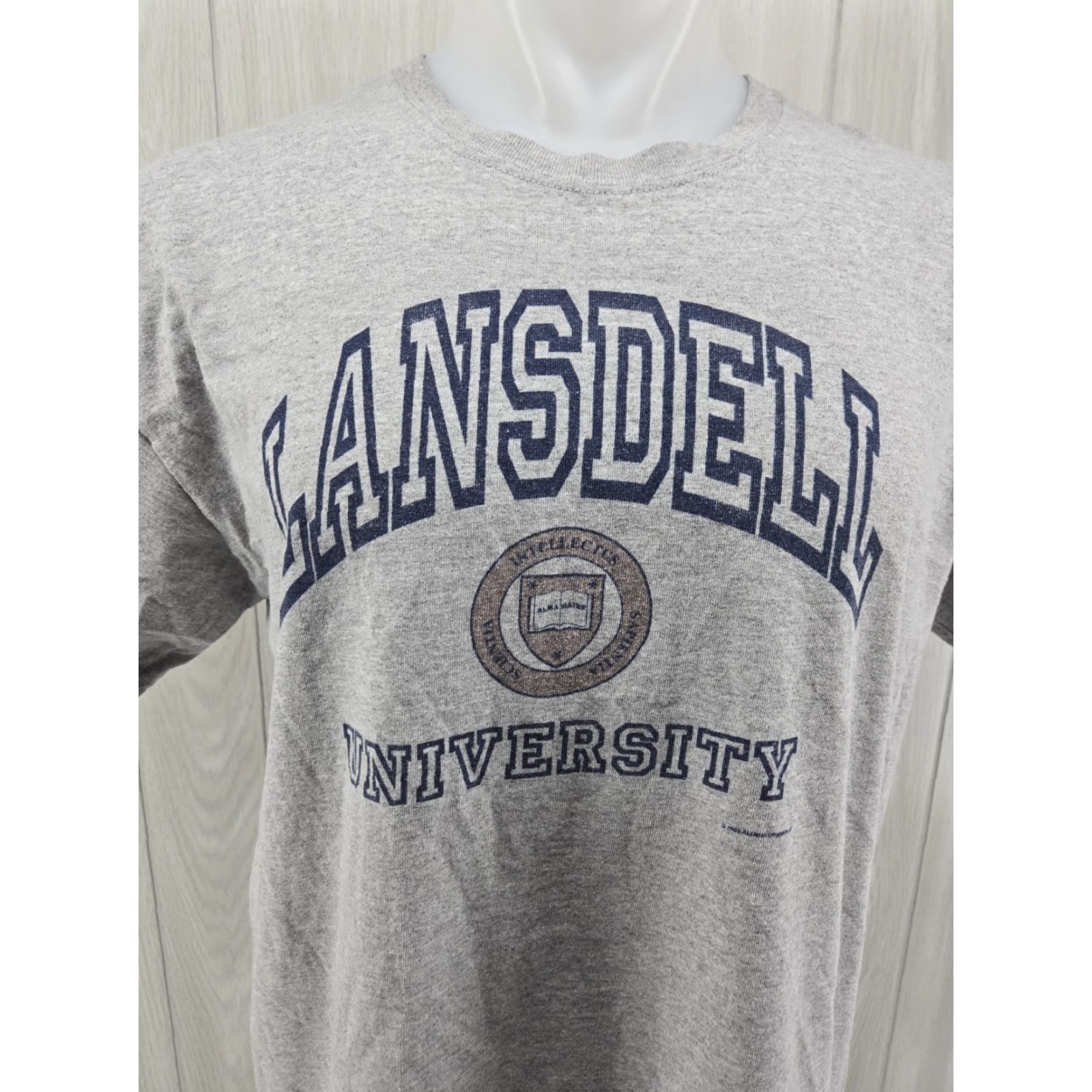 Gildan Lansdell University T Shirt Gray Large Mens Short Sleeve Cotton Blend Graphic Print N/A Size US L / EU 52-54 / 3 - 3 Thumbnail