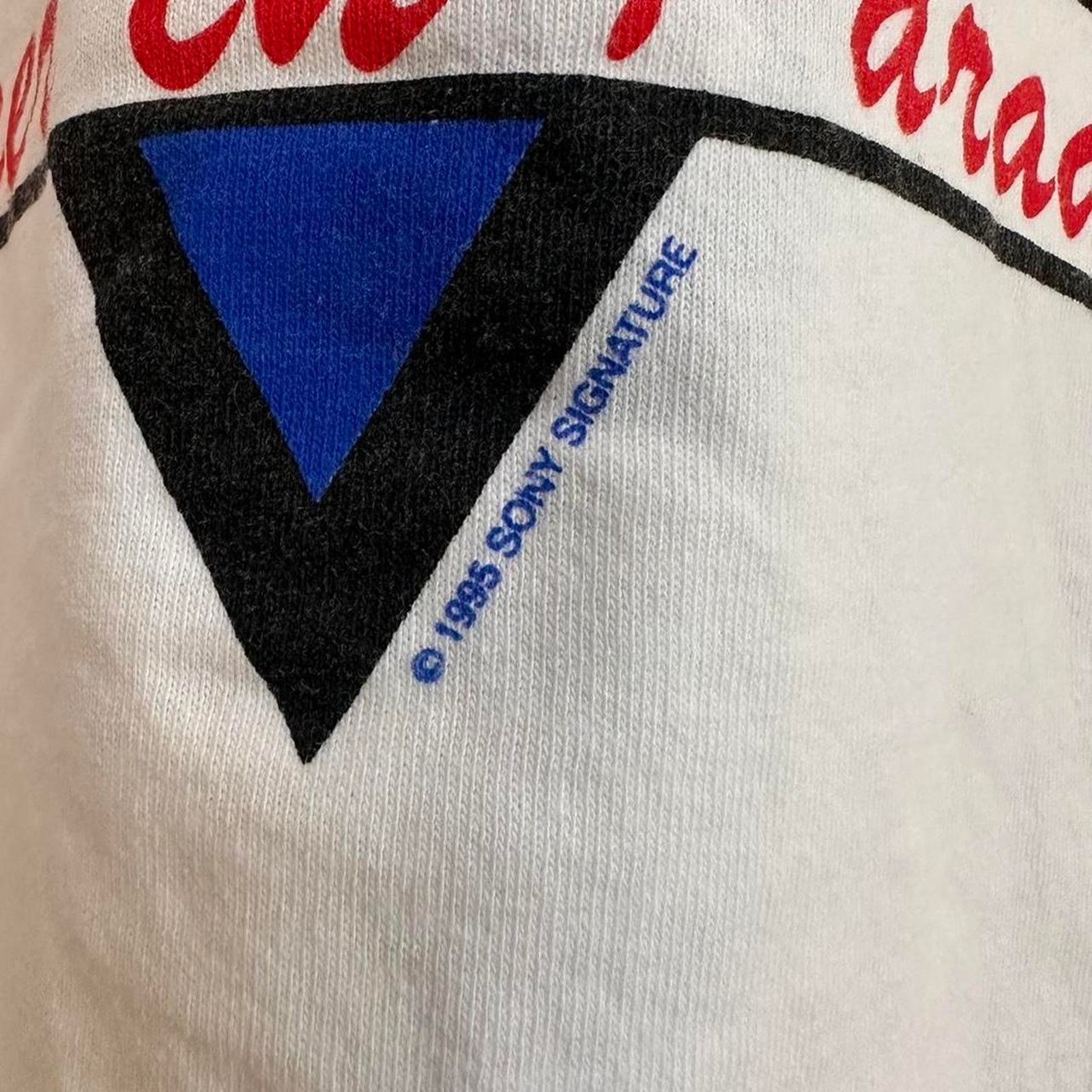 Band Tees × Vintage Vintage 1995 Beach Boys Band Shirt Size US M / EU 48-50 / 2 - 3 Thumbnail