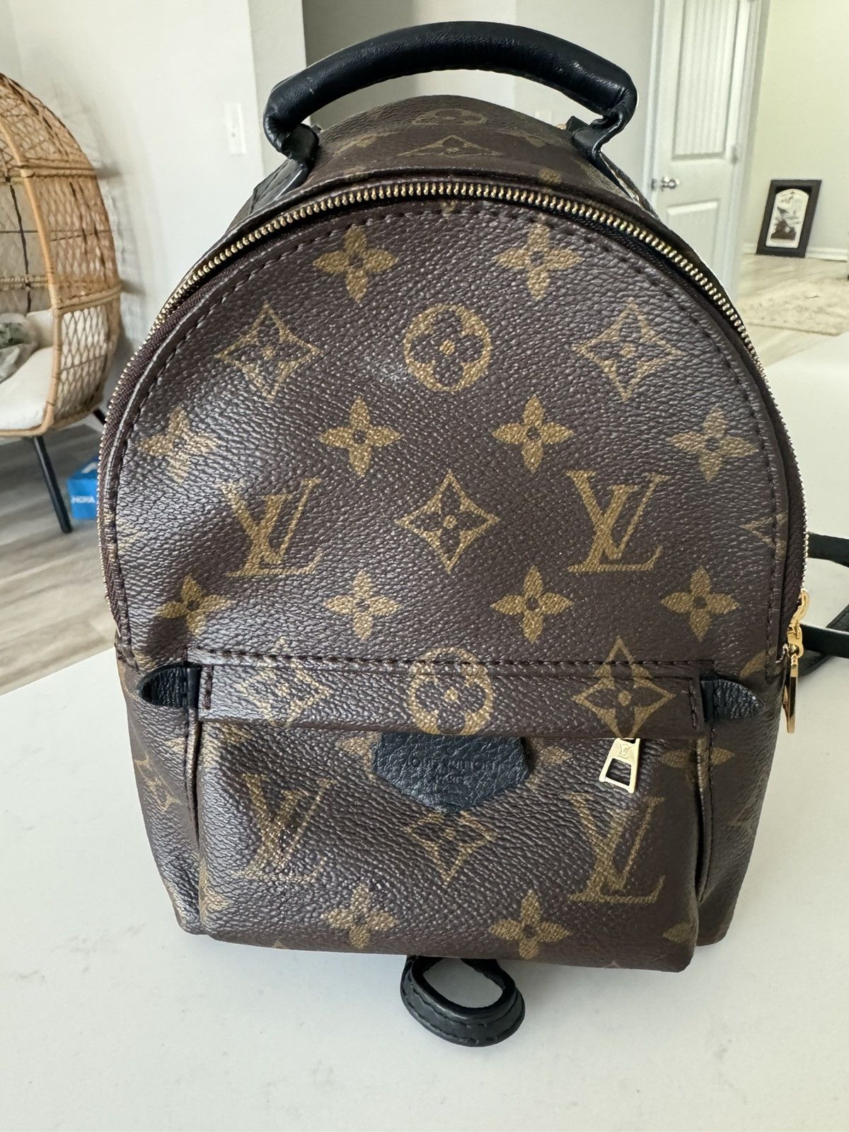 Louis Vuitton Palm Springs Mini M44873 Size ONE SIZE - 8 Thumbnail