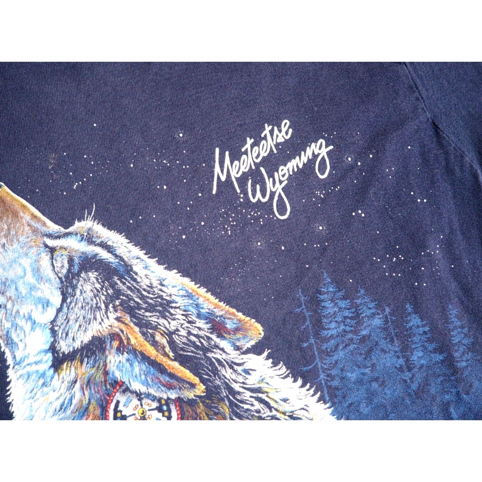 Fruit Of The Loom VTG Fruit of the Loom Wolf Nature Meeteetse Wyoming USA Blue Tee T-Shirt M Unisex Short Sleeve Cotton Graphic Tee 90s Size US M / EU 48-50 / 2 - 5 Thumbnail