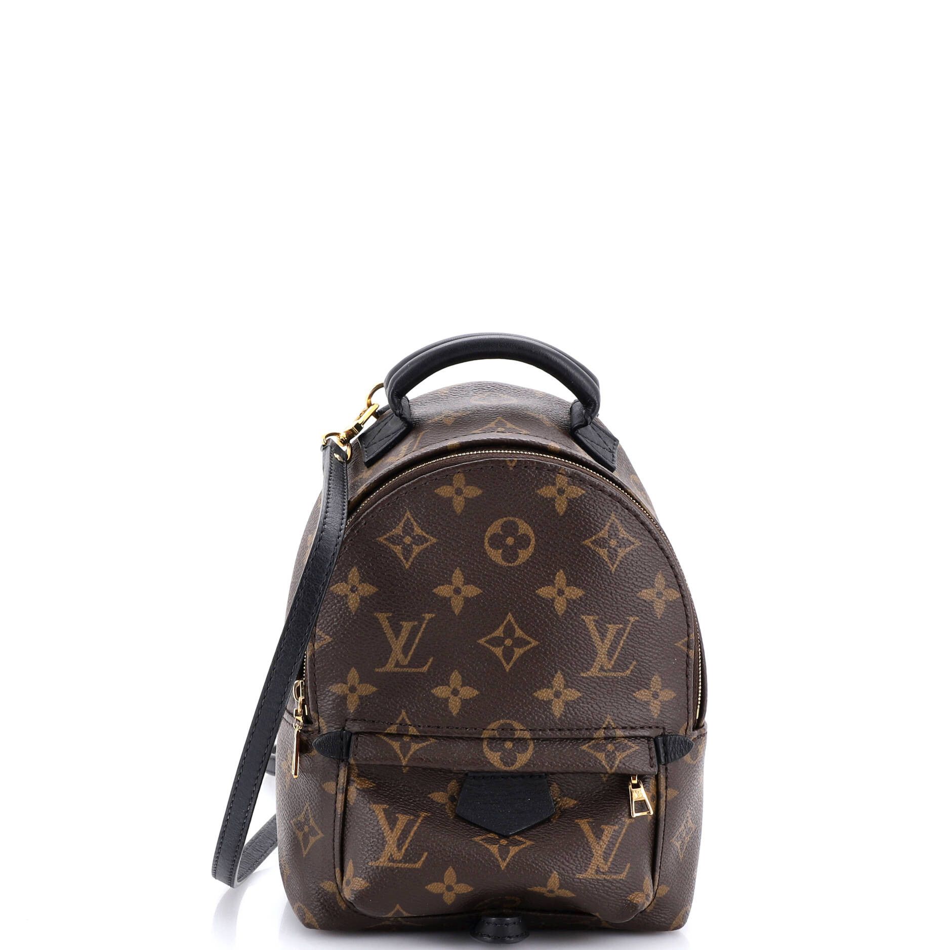 Louis Vuitton Palm Springs Backpack Size ONE SIZE - 1 Thumbnail