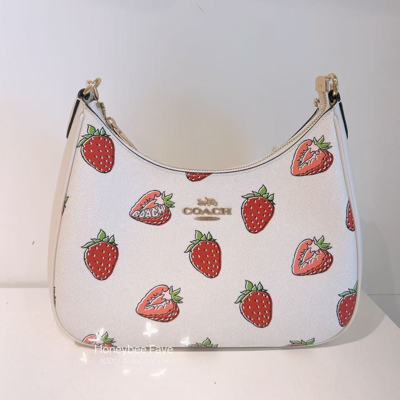 日本未入荷 Coach Teri Hobo Bag CAL67 フルーツ柄 日本未入荷 Coach Teri Hobo Bag CAL67 フルーツ柄 (Coach