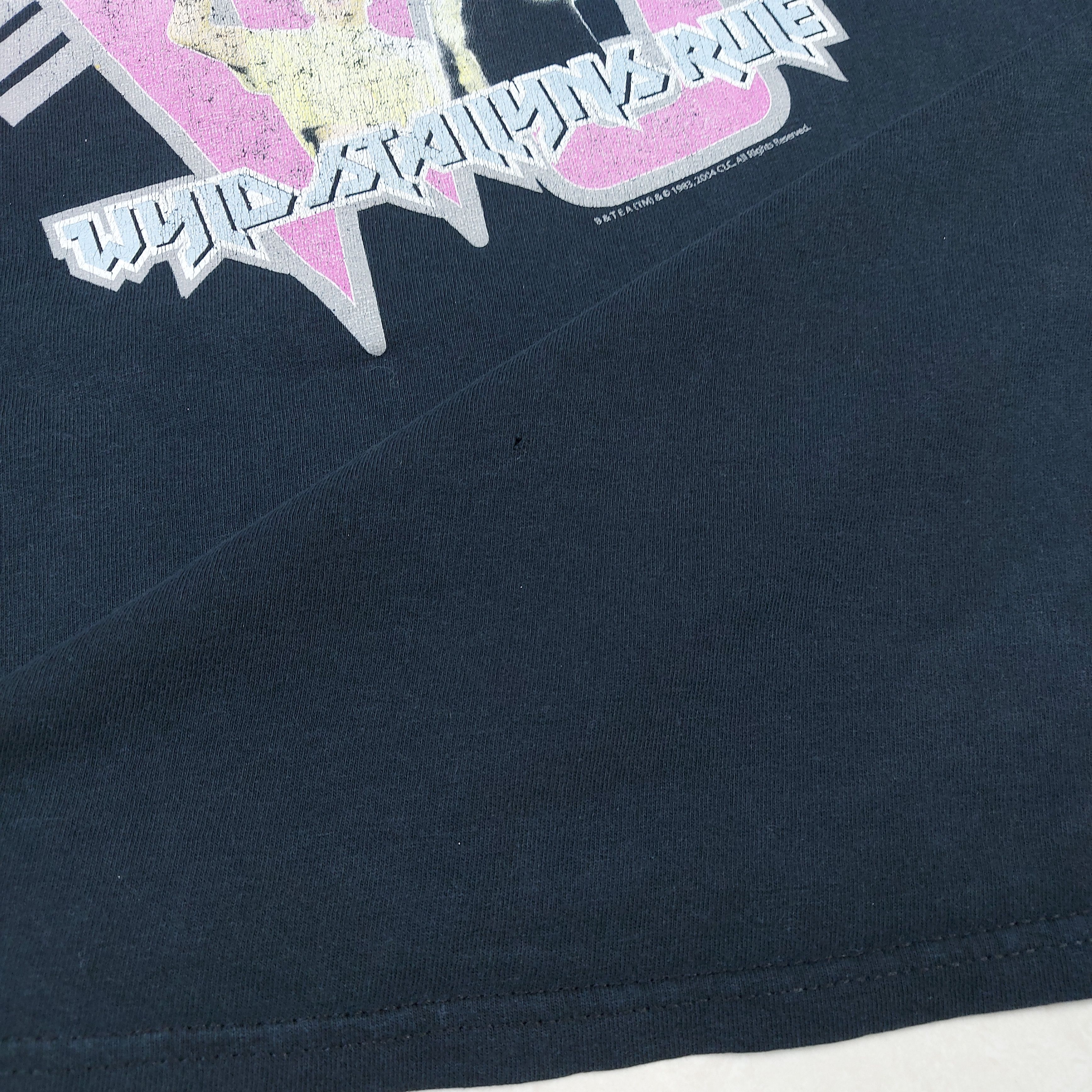 Other Vintage 2004 Wyld Stallyns Bill and Ted's adventure TEE Size US M / EU 48-50 / 2 - 9 Thumbnail