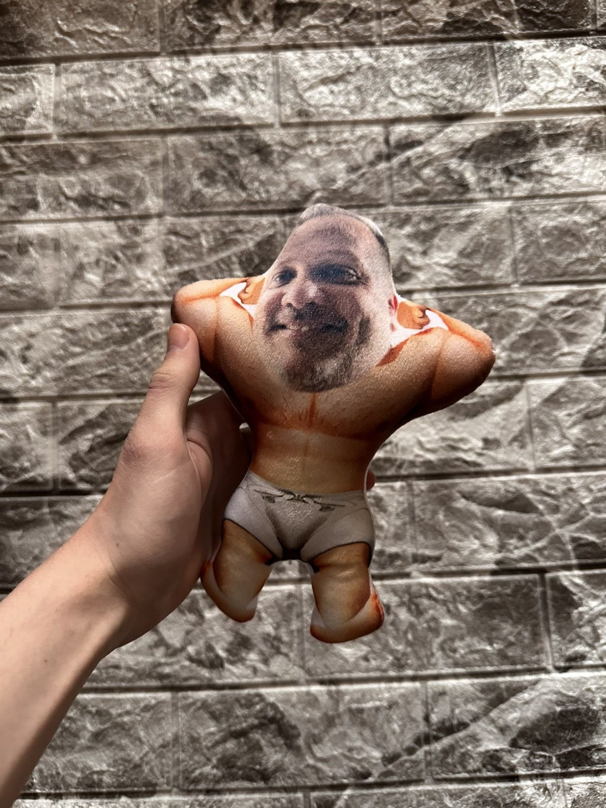 Japanese Brand 🚨 RIPPED MINI PILLOW ALERT🚨 Size ONE SIZE - 1 Thumbnail