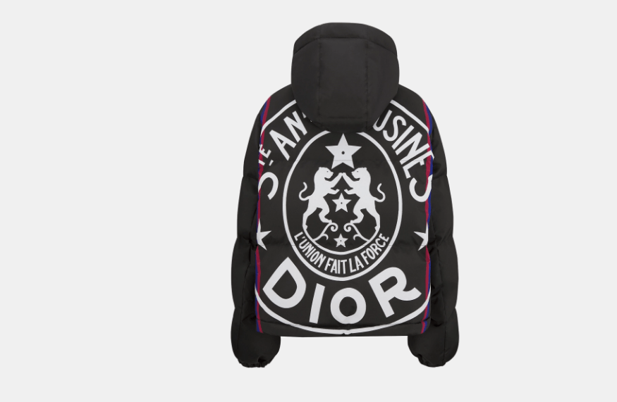Dior o1w1db10525 327C21 Dior Alps Hooded Puffer Jacket in Black Size XL / US 12-14 / IT 48-50 - 2 Thumbnail