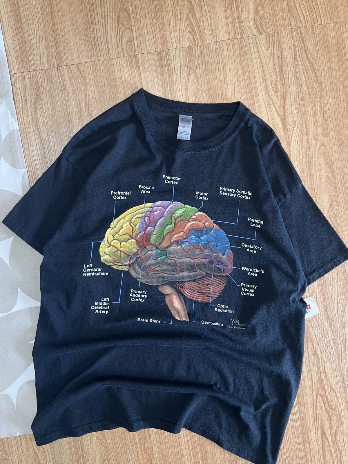 Gildan Vintage Brain Anatomy Size US L / EU 52-54 / 3 - 1 Thumbnail