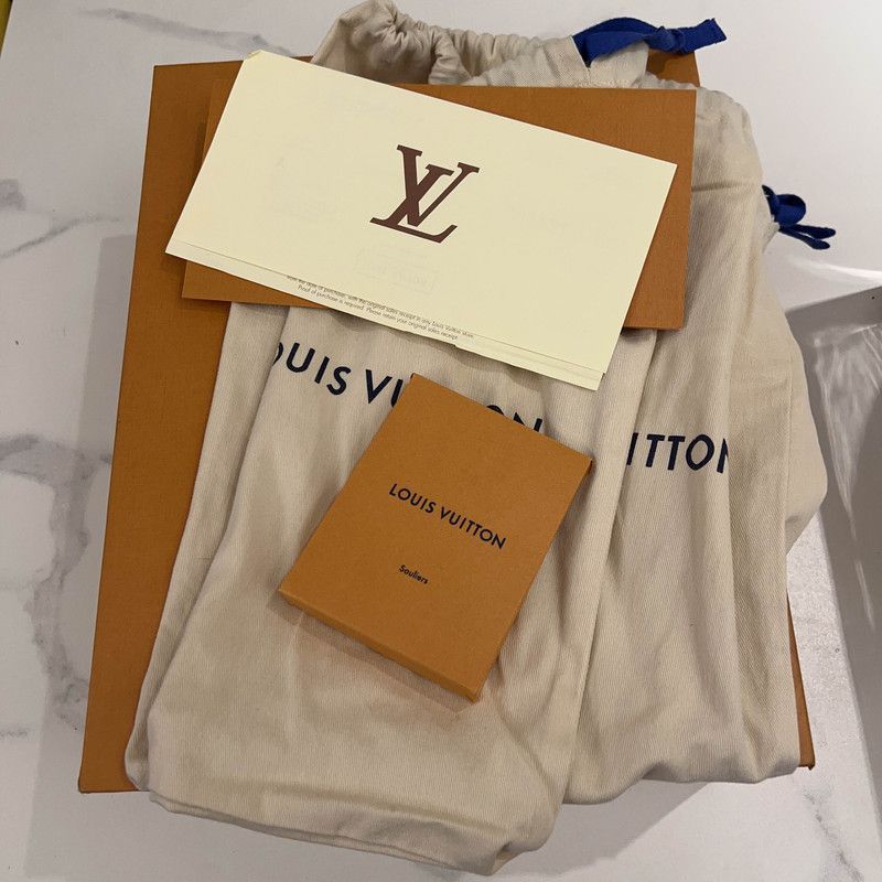 Louis Vuitton Louis Vuitton Metallic Trainer Sneakers for Men -2508 Size US 8.5 / EU 41-42 - 6 Thumbnail