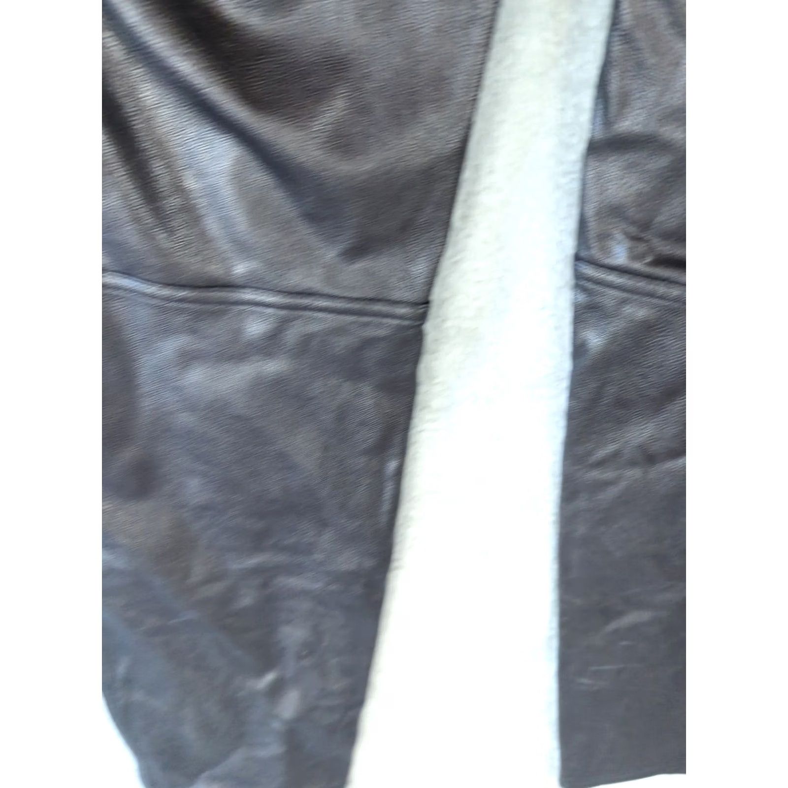 Spanx Spanx Leather Like Pull On Pants 1X Black Ankle Slimming Slim Flat Front Plus Size Rock City Motorcycle Womens Pants Size 40" / US 18 - 6 Thumbnail